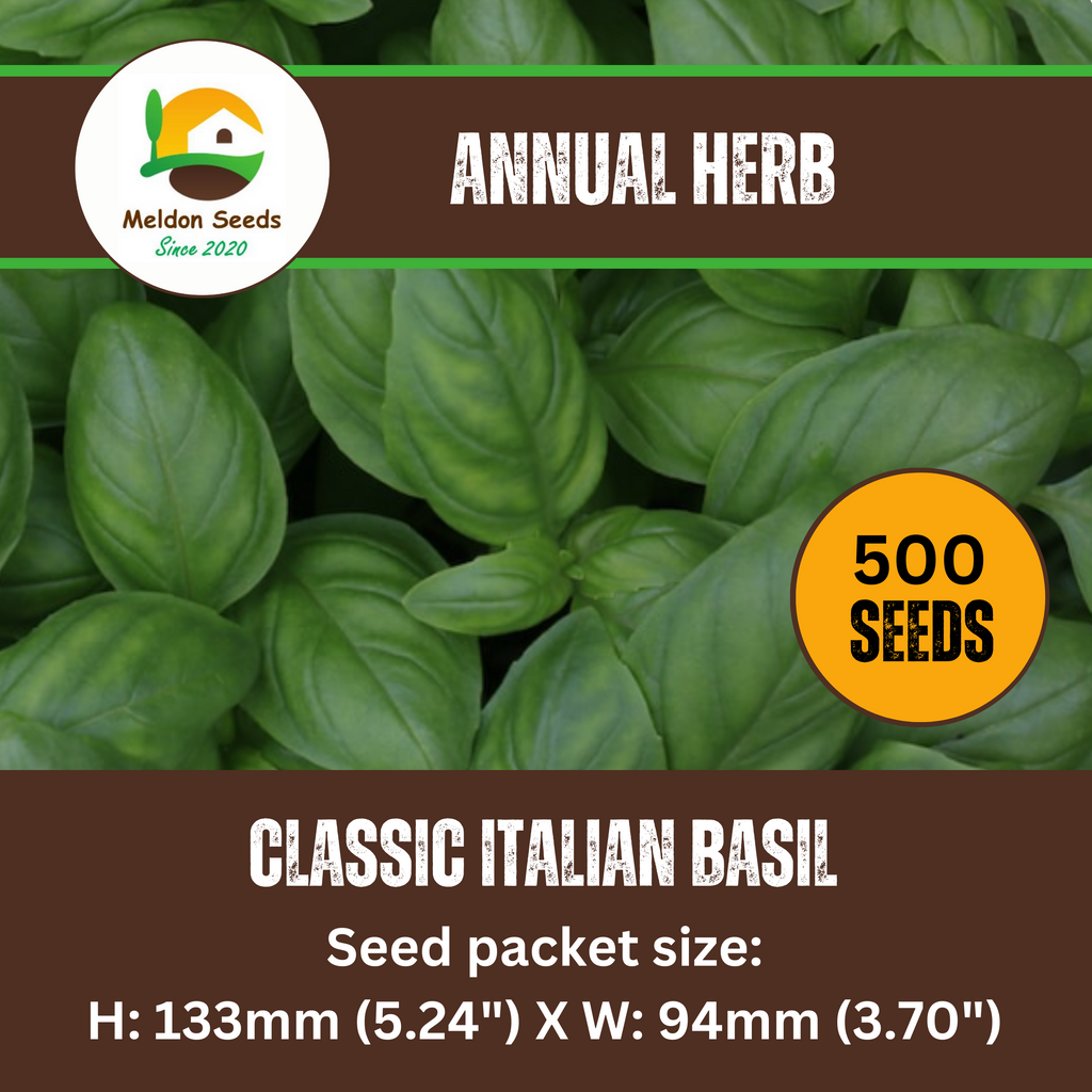 Basil Classic Italian 500 Seeds