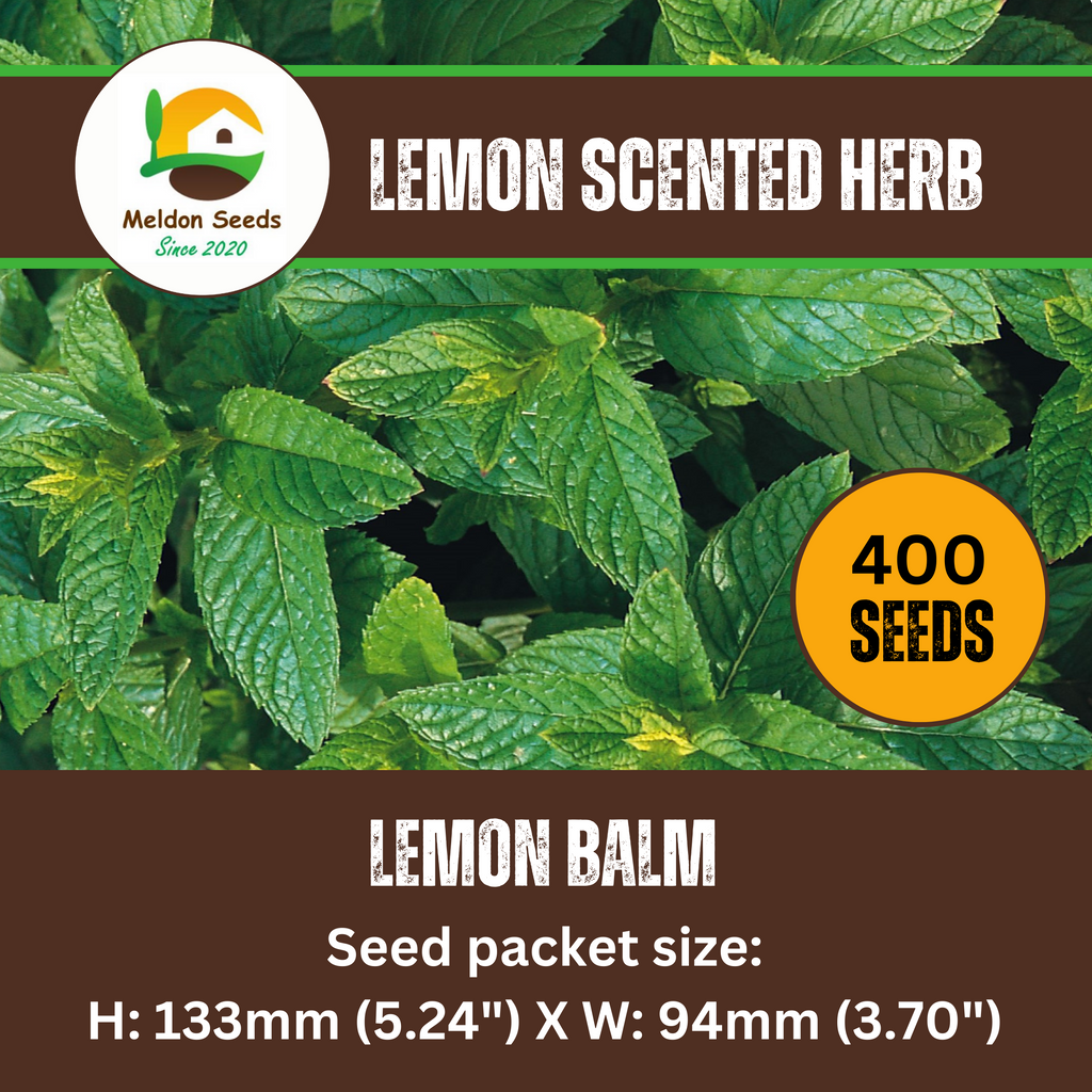 Lemon Balm 400 Seeds