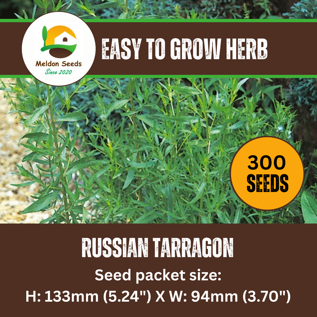 Tarragon Russian 300 Seeds