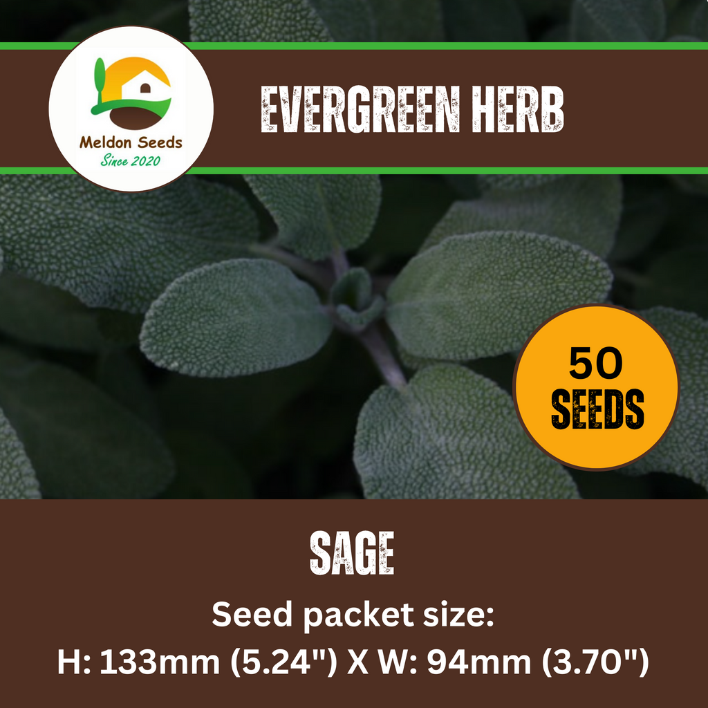 Sage 50 Seeds