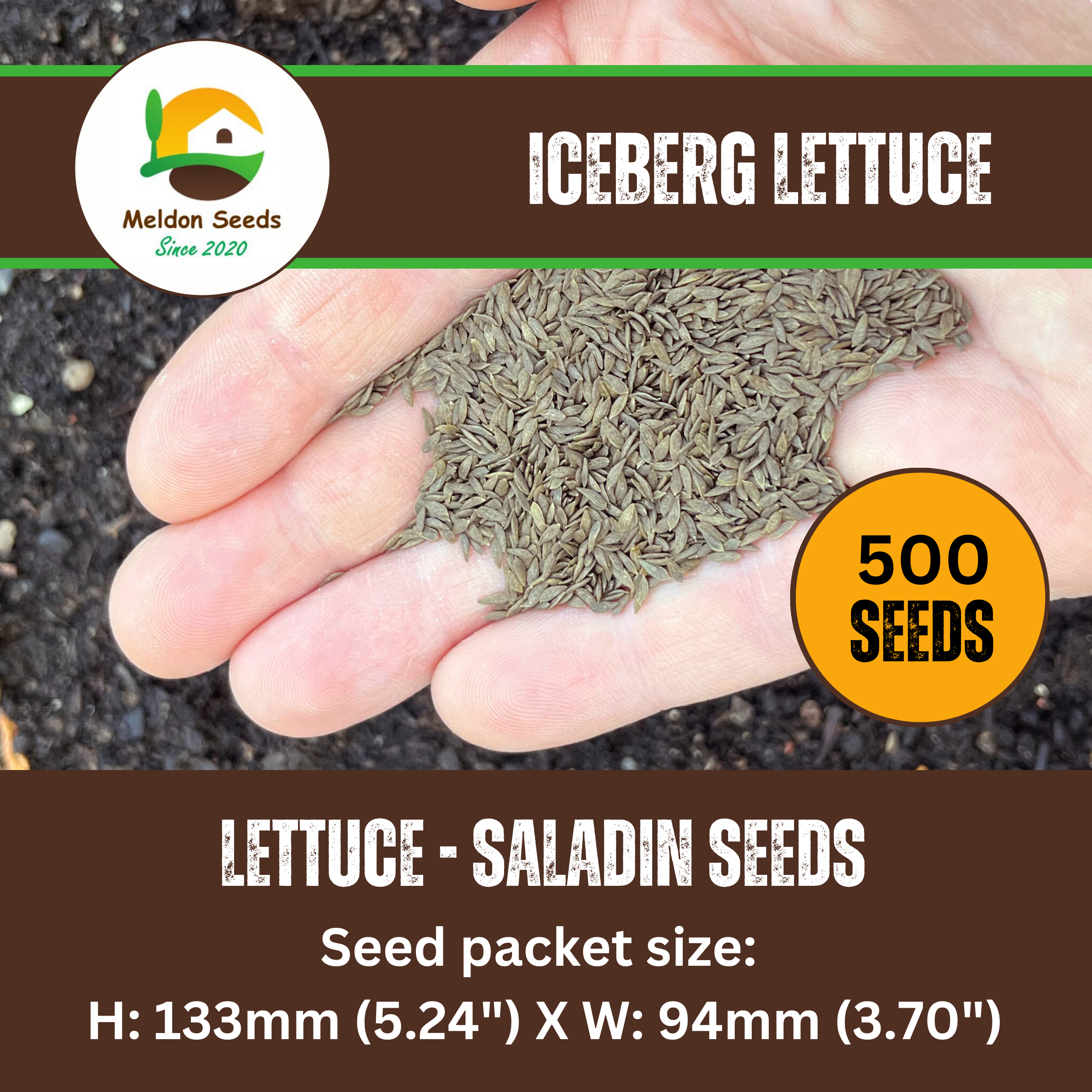 Lettuce Saladin (iceberg) 500 Seeds