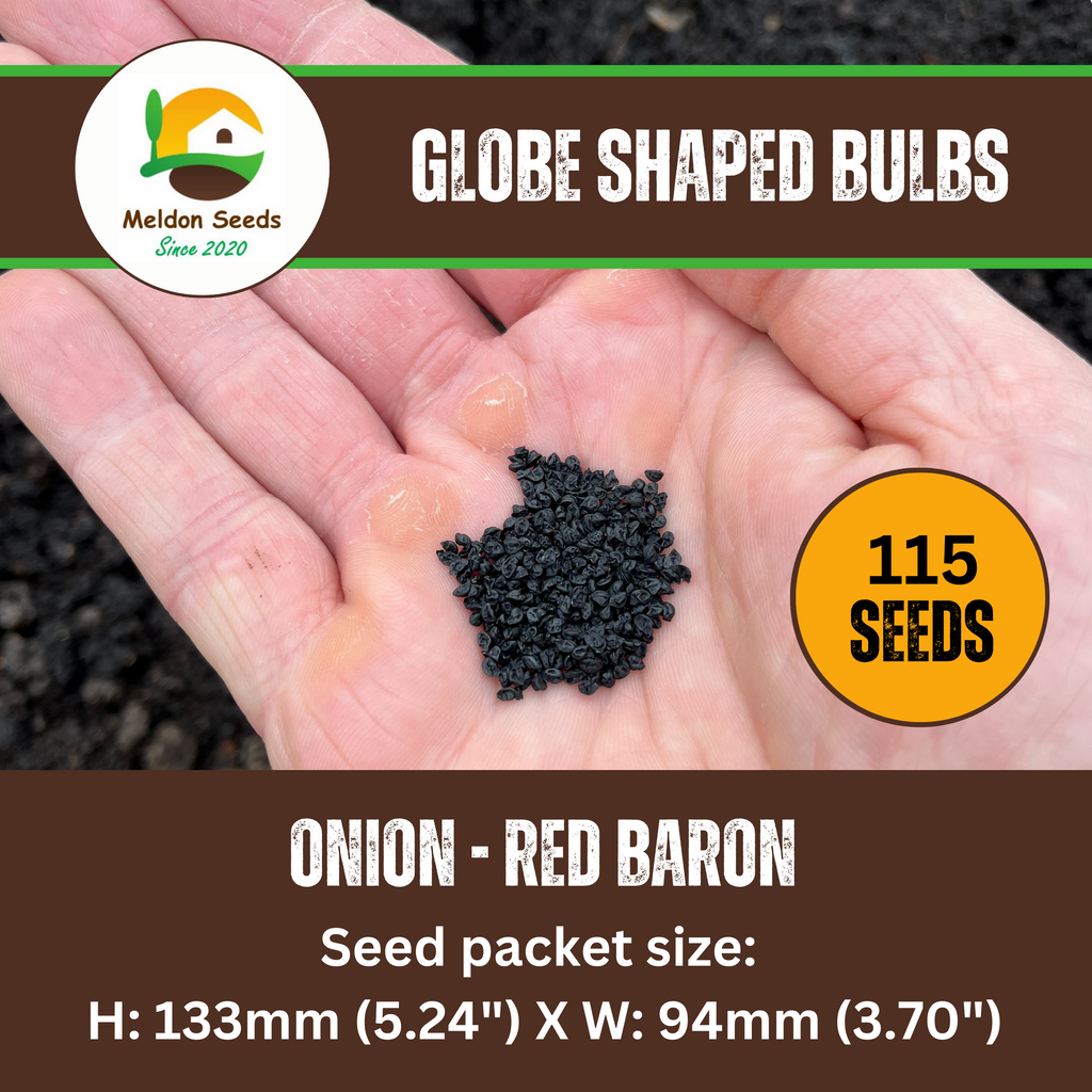 Onion Red Baron 115 Seeds