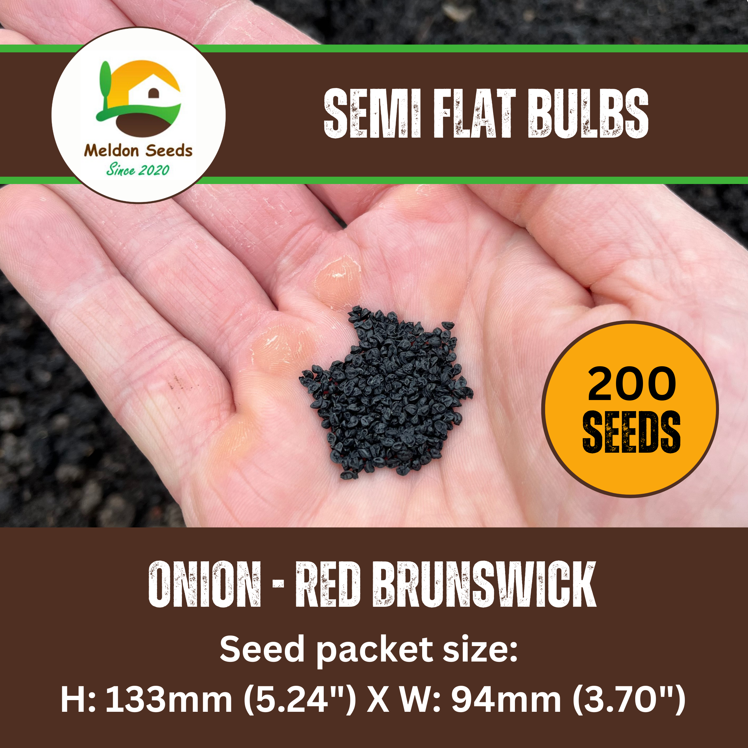 Onion Seeds Red Brunswick 200 Fresh Vegetable Seeds