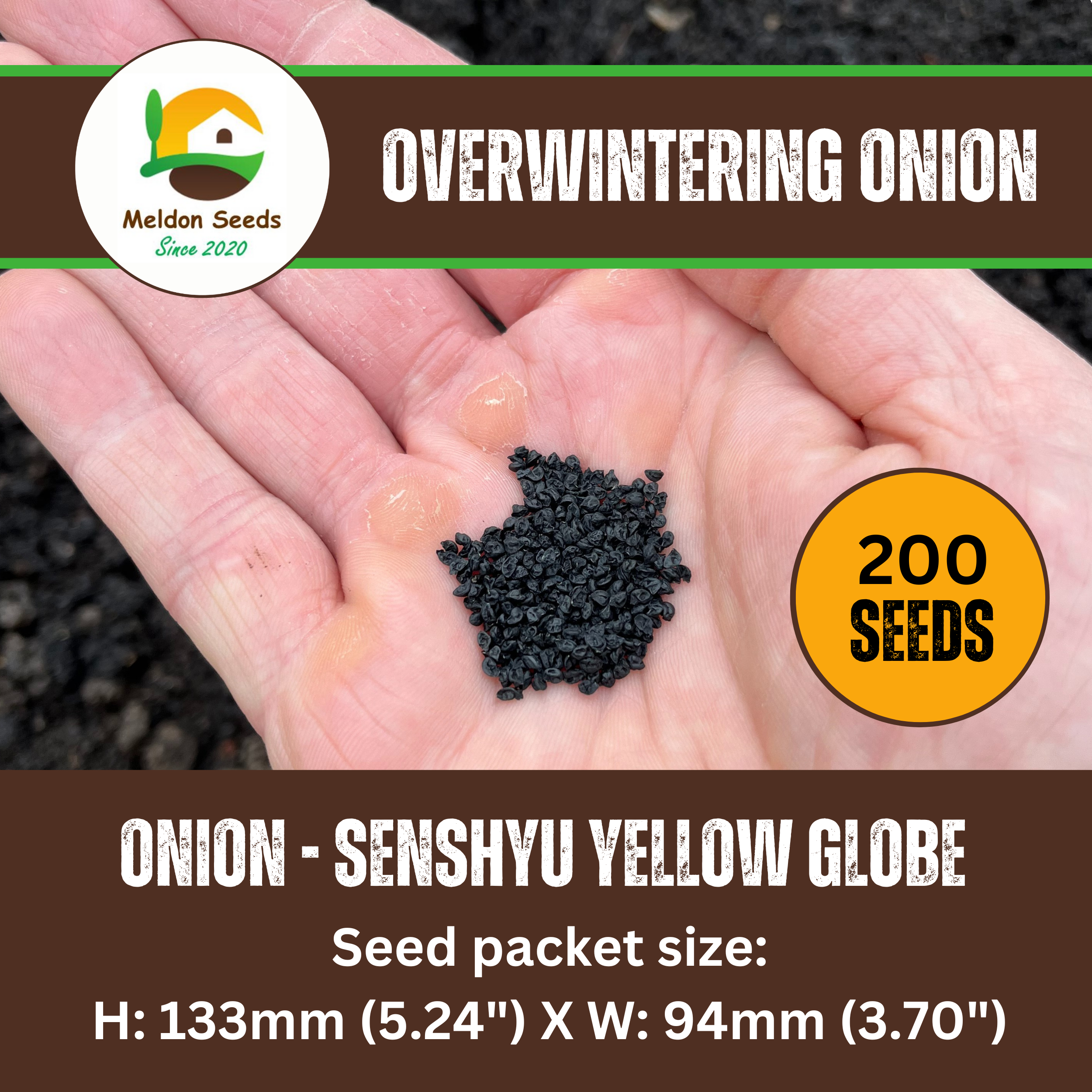 Onion Seeds Senshyu Yellow – 200 Semi-globe Type Onion Seeds – Plant and Grow Your Own Vegetables Ideal for Greenhouse, Garden, Polytunnel, Large Pots or Containers – Packed in The UK by Meldon Seeds