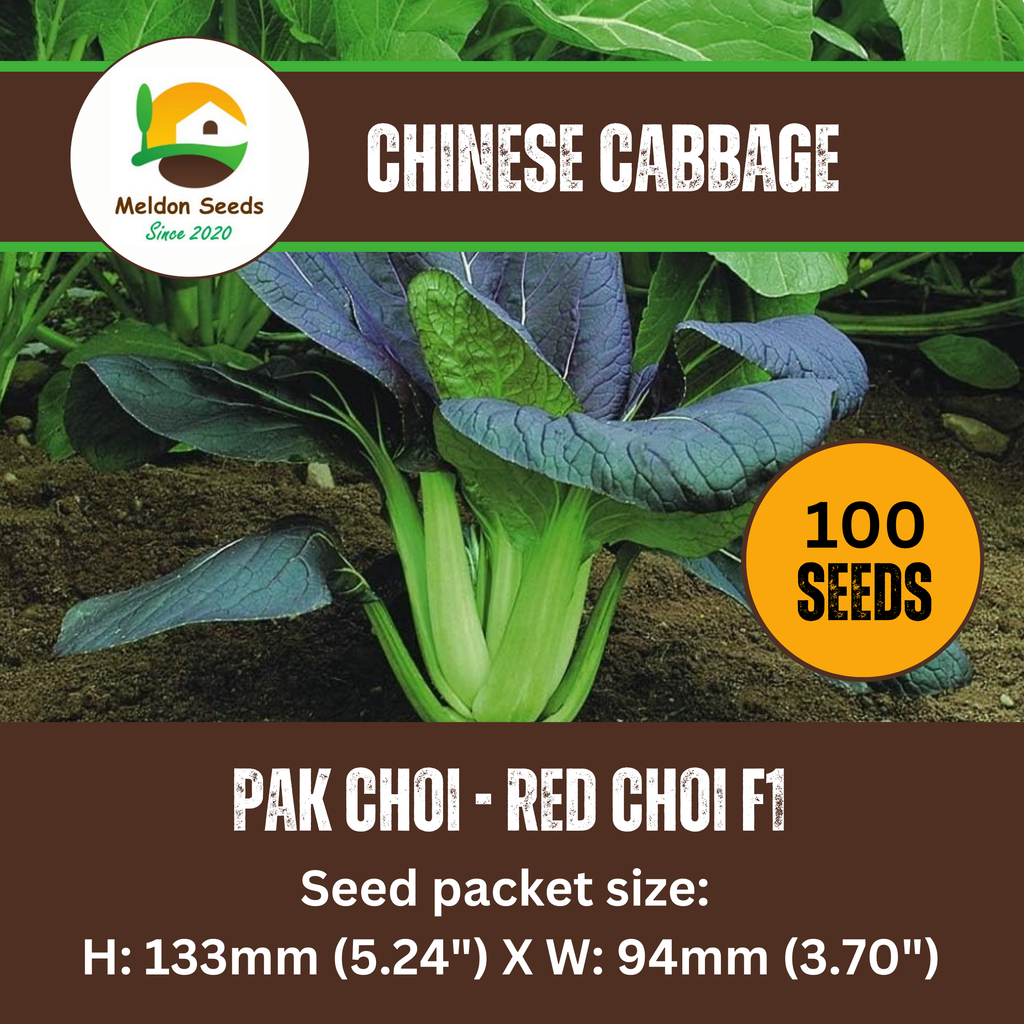 Pak Choi Seeds Red Choi F1 - 100 Fresh Seeds Bok Choy Chinese Cabbage Seeds UK