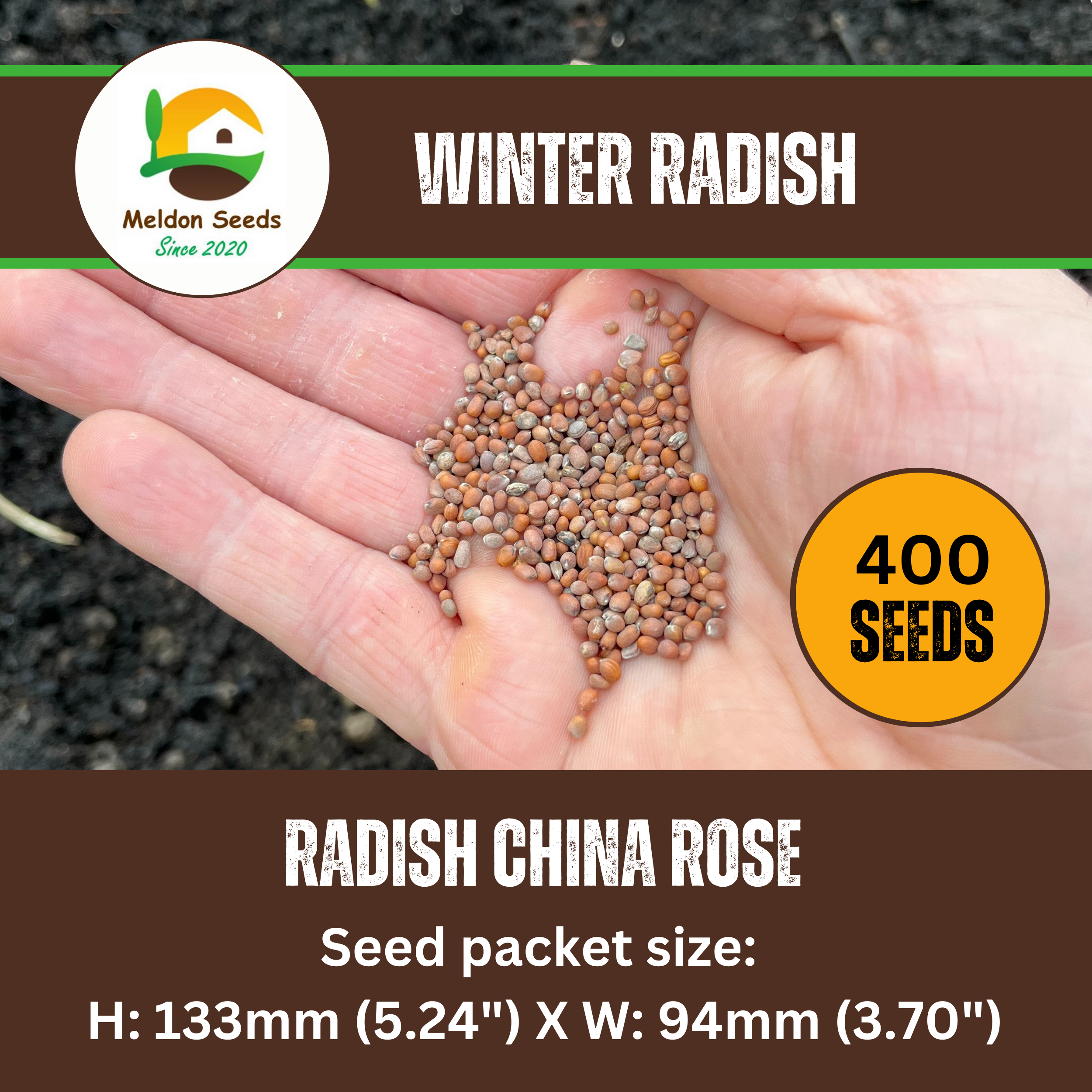 Winter Radish Seeds China Rose – 400 Fresh Radish Seeds Grow Indoors Outdoors UK