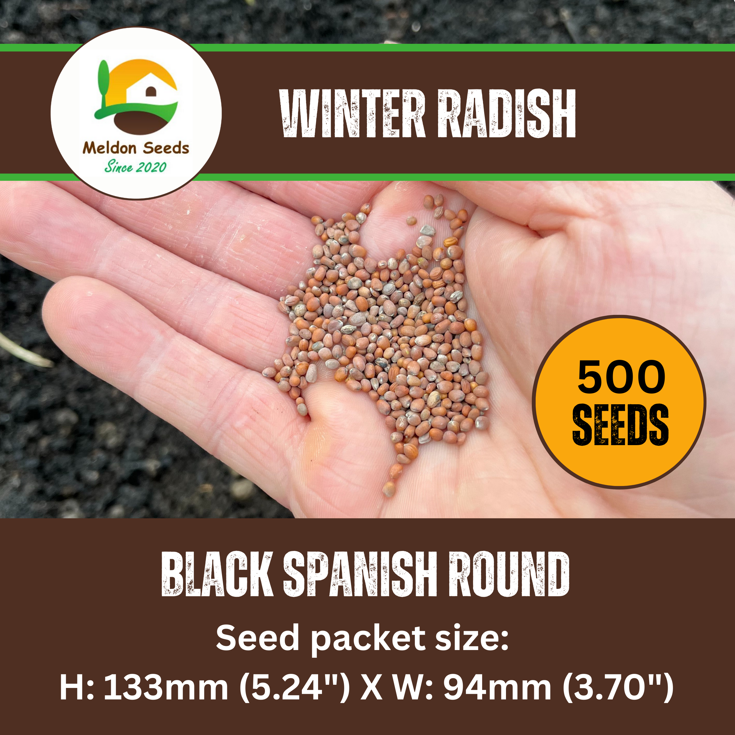Radish Black Spanish Round 500 Seeds