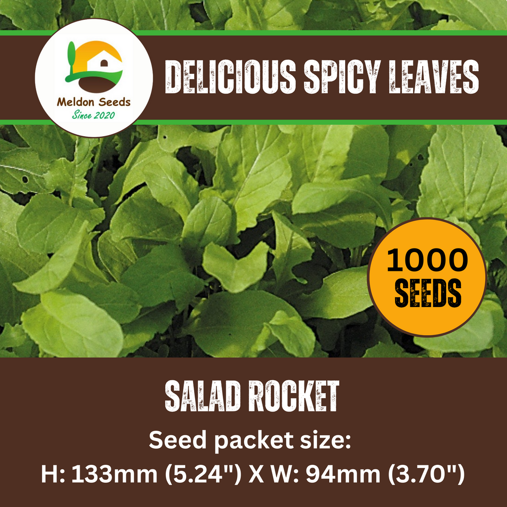 Rocket Salad 1000 Seeds