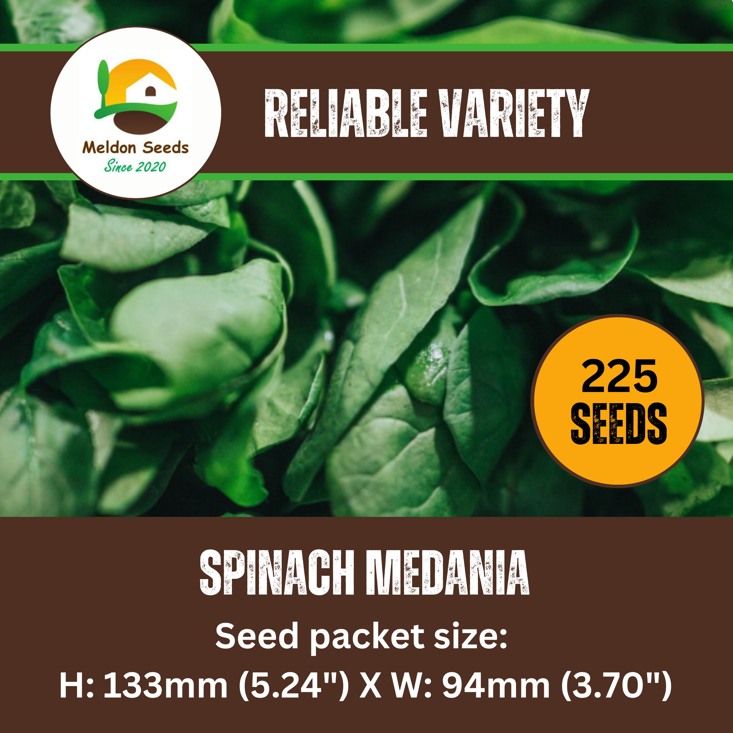 Spinach Medania 150 Seeds