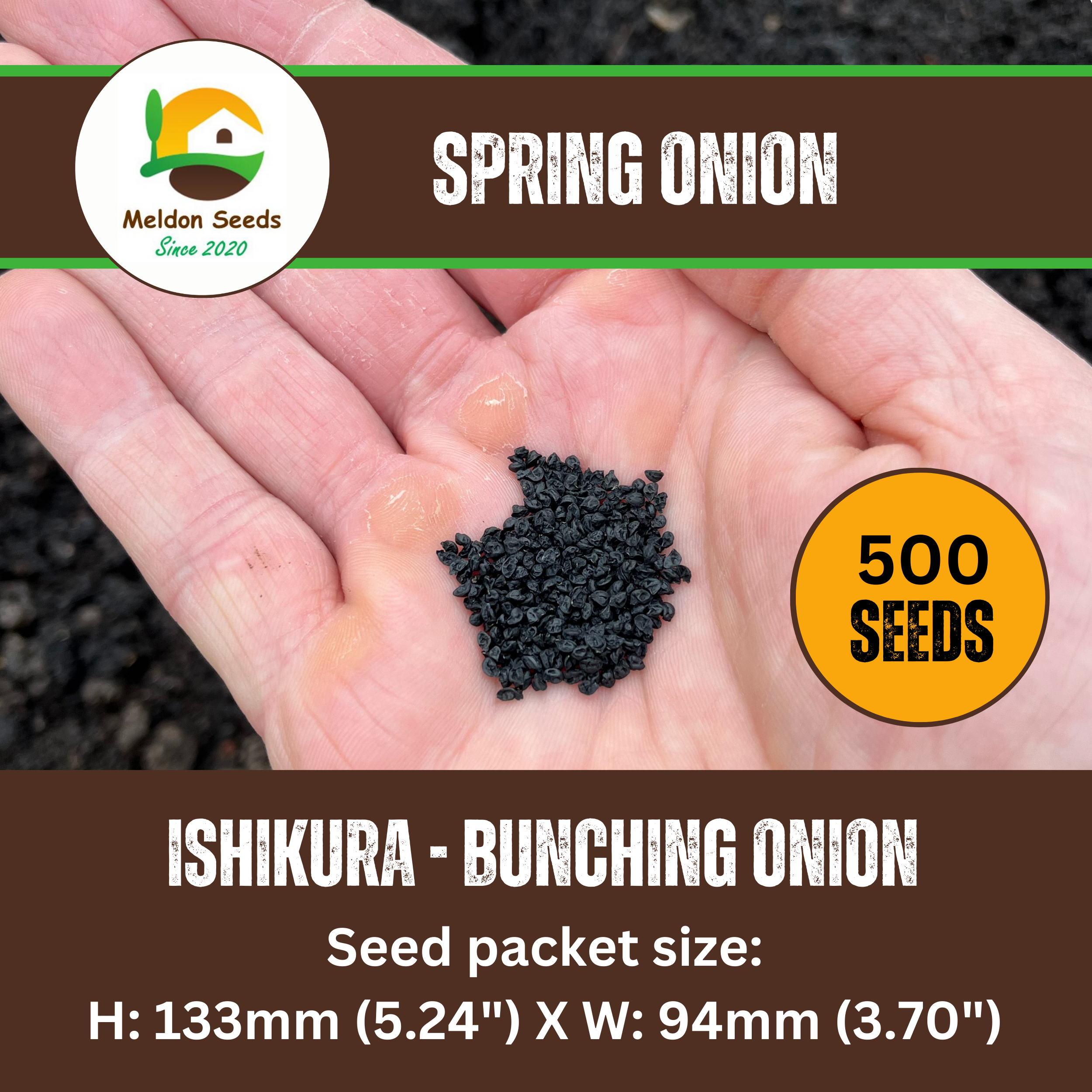 Spring Onion Long White Ishikura 500 Seeds