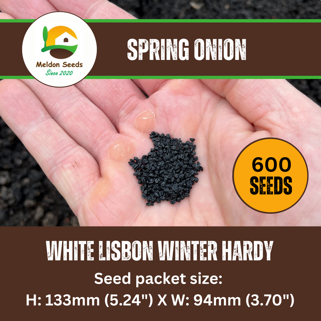 Spring Onion White Lisbon Winter Hardy 500 Seeds