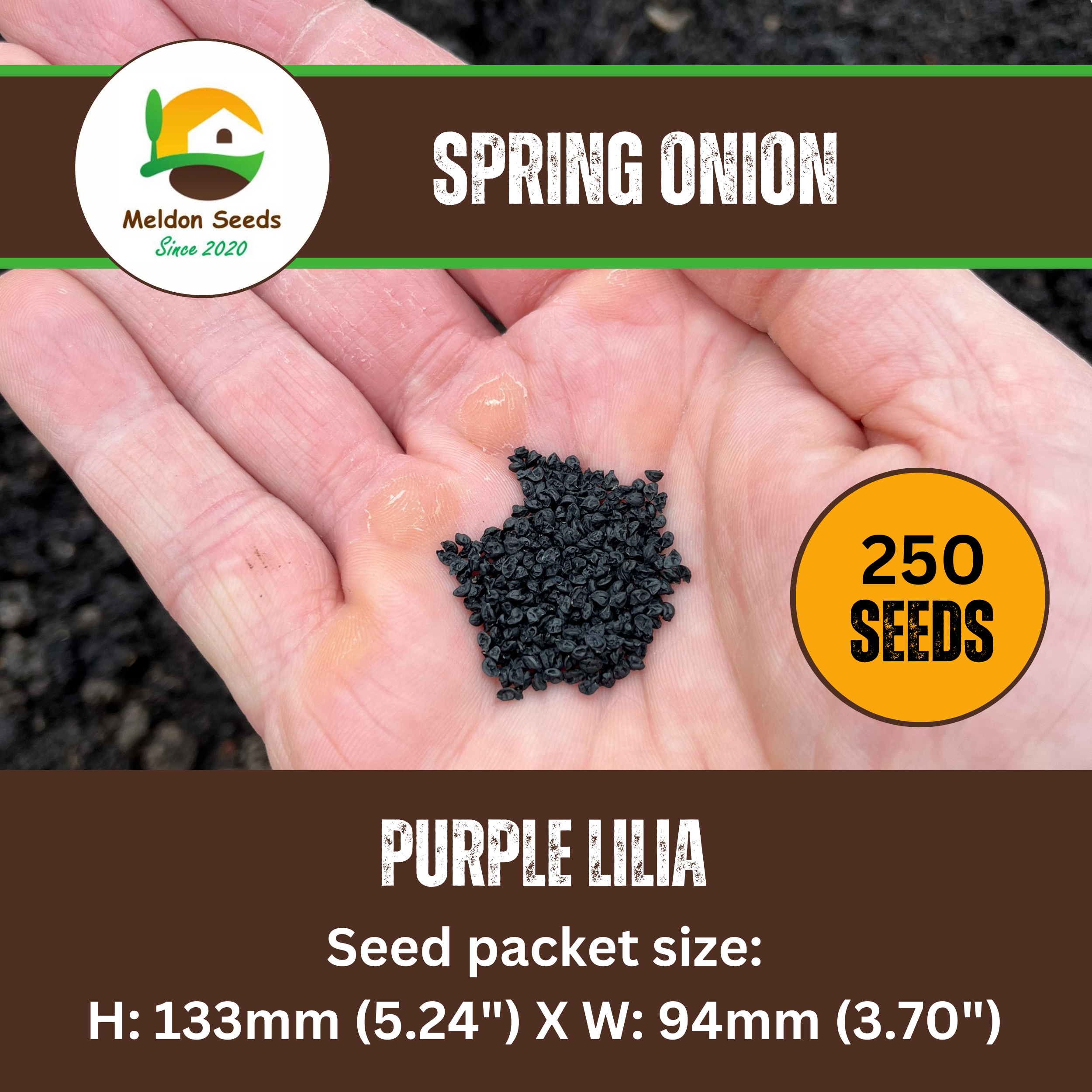 Red Spring Onion Lilia Purple Seeds x 250