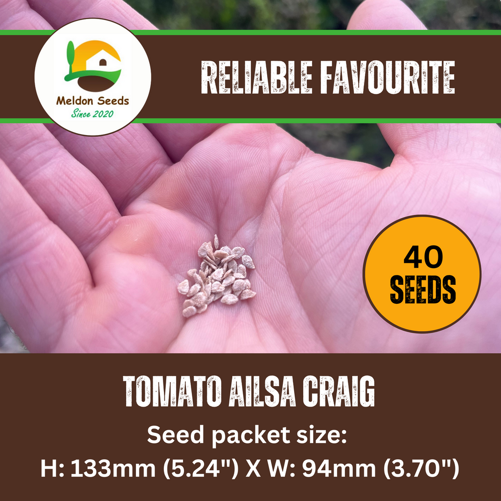 Tomato Ailsa Craig 30 Seeds