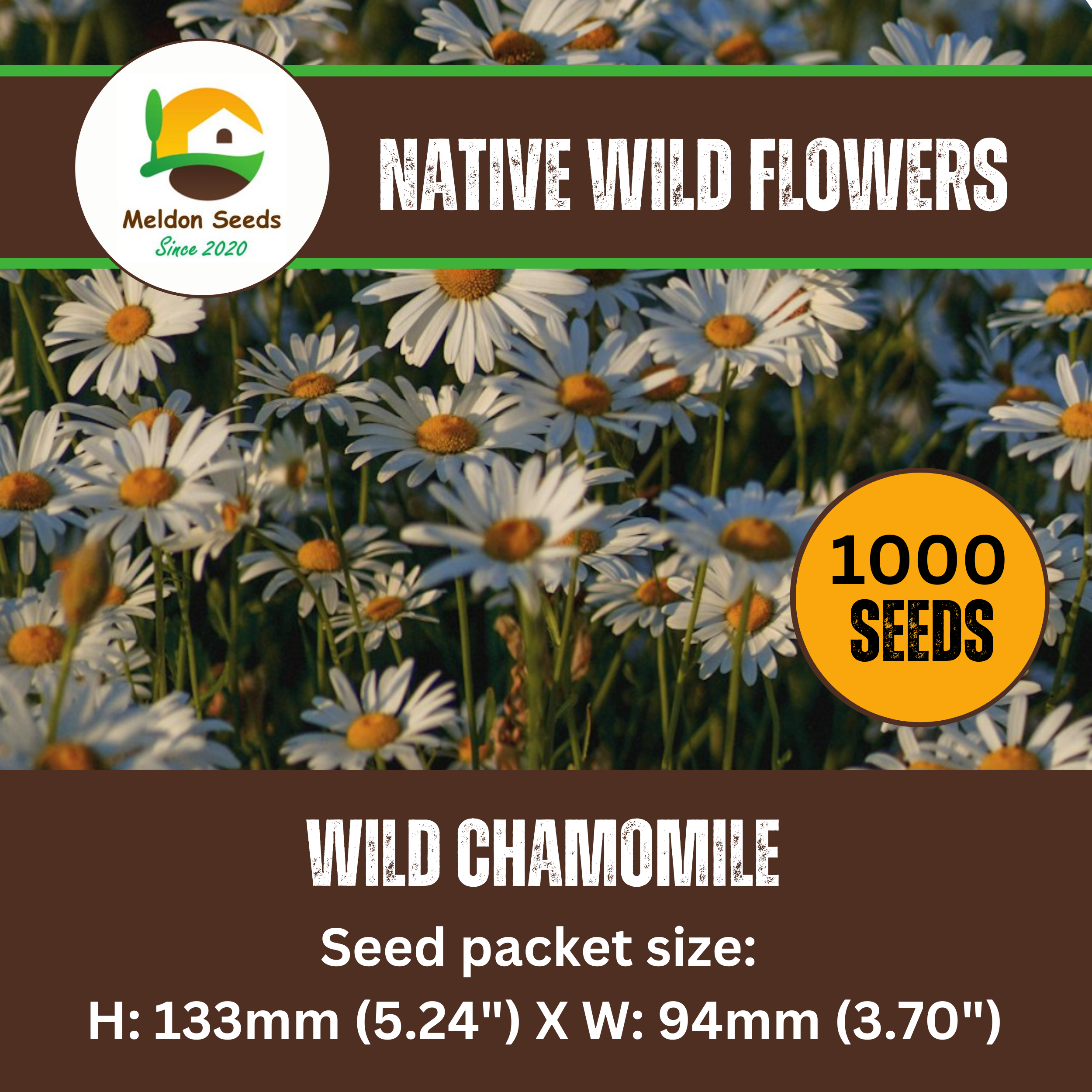 Wild Chamomile Seeds - 1000 Native UK Wild Flower Seeds for Attracting Birds, Bees, Wildlife, Pollinators, Suitable for Planting and Growing Outdoors in Meadows, Fields, Gardens and Borders - Packed in The UK by Meldon Seeds