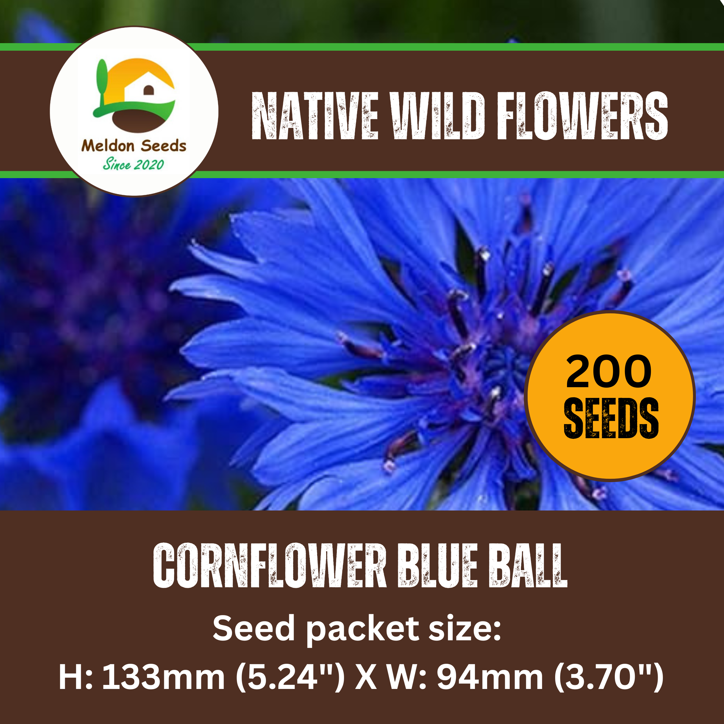 Cornflower Blue Ball Seeds - 200 Native UK Wild Flower Seeds for Attracting Birds, Bees, Wildlife, Pollinators, Suitable for Planting and Growing Outdoors in Meadows Fields and Gardens by Meldon Seeds
