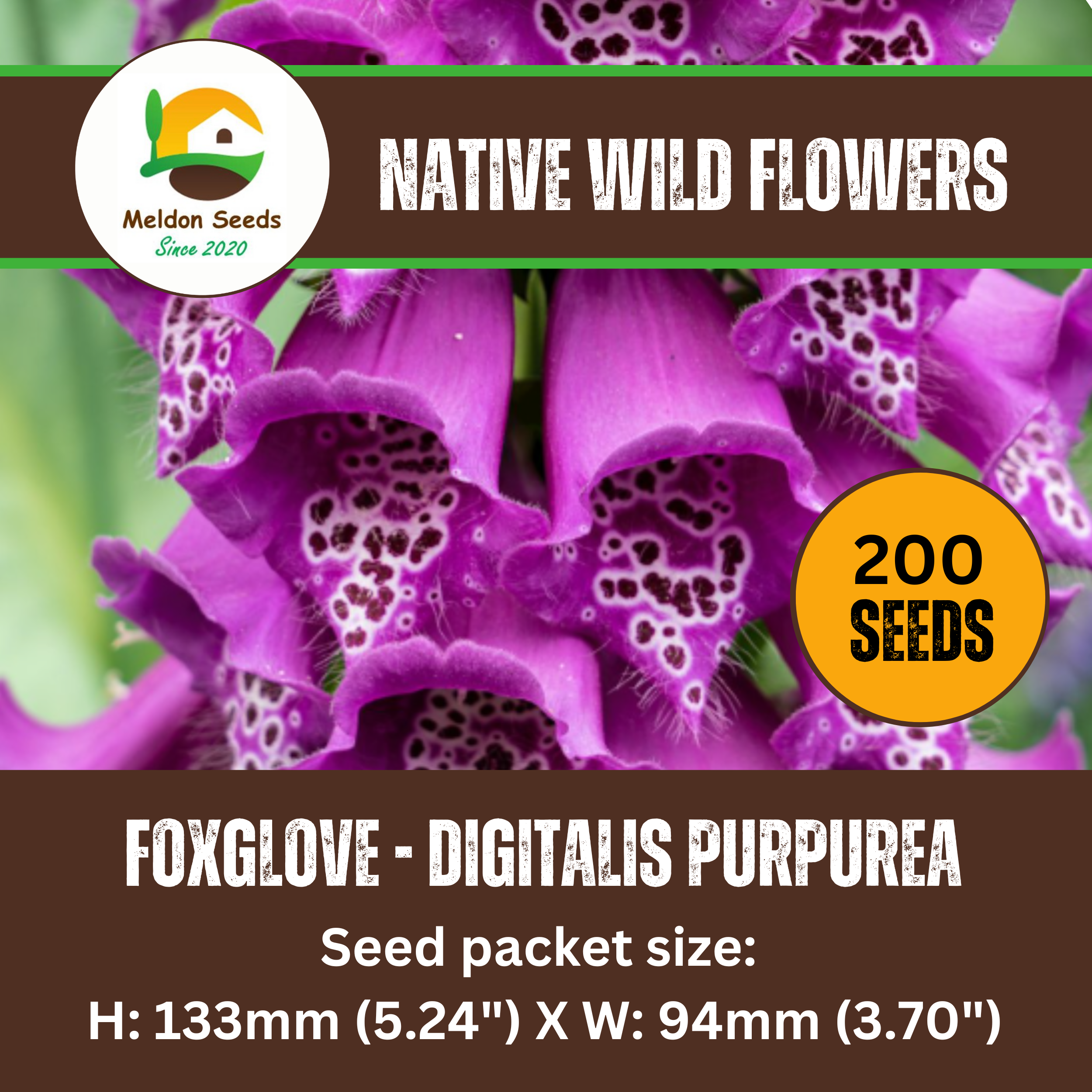 Foxglove Seeds - 200 Native UK Wild Flower Seeds for Attracting Birds, Bees, Wildlife, Pollinators, Suitable for Planting and Growing Outdoors in Meadows, Fields, Gardens and Borders by Meldon Seeds