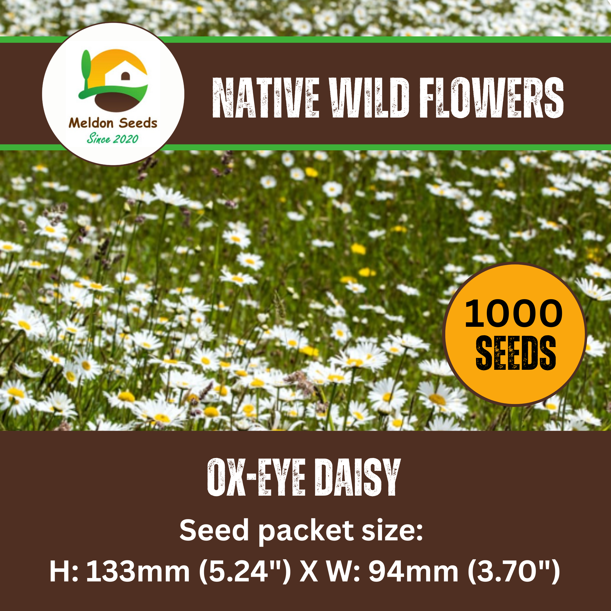 Ox-Eye Daisy Seeds - 1000 Native UK Wild Flower Seeds for Attracting Birds, Bees, Wildlife, Pollinators, Suitable for Planting and Growing Outdoors in Meadows, Fields, Gardens and Borders - Packed in The UK by Meldon Seeds