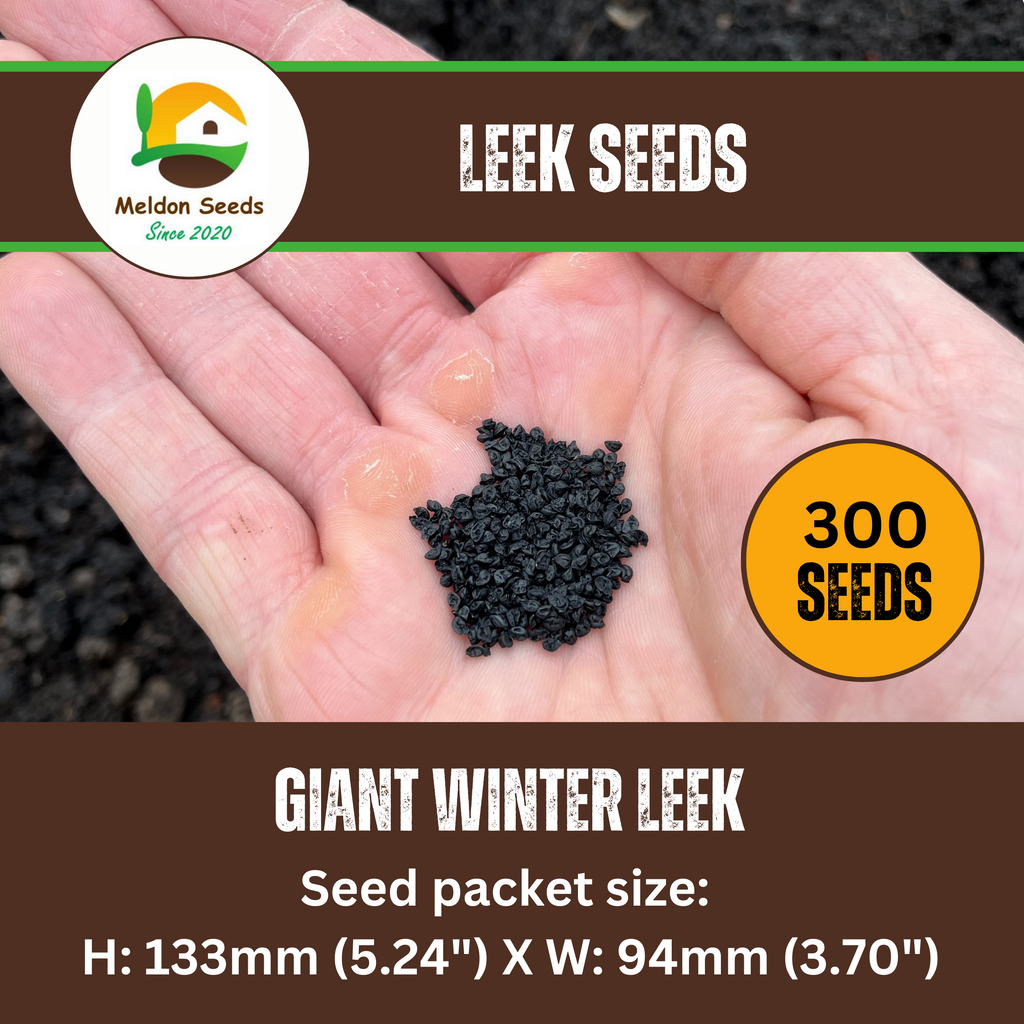 Leek Giant Winter 300 Seeds