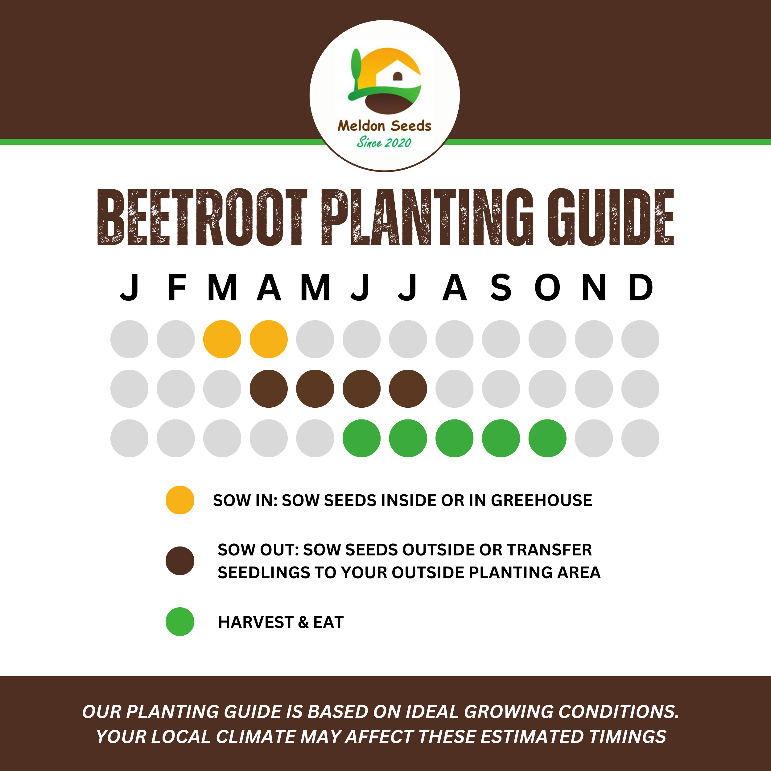 Beetroot Detroit 2 Crimson Globe 200 Seeds