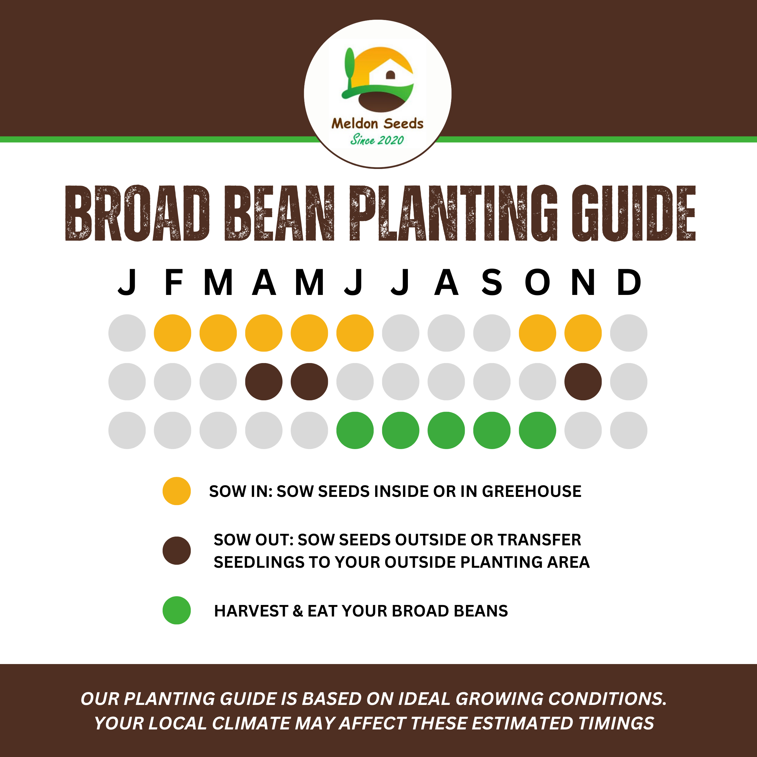 Broad Bean Sutton Dwarf 45 Seeds