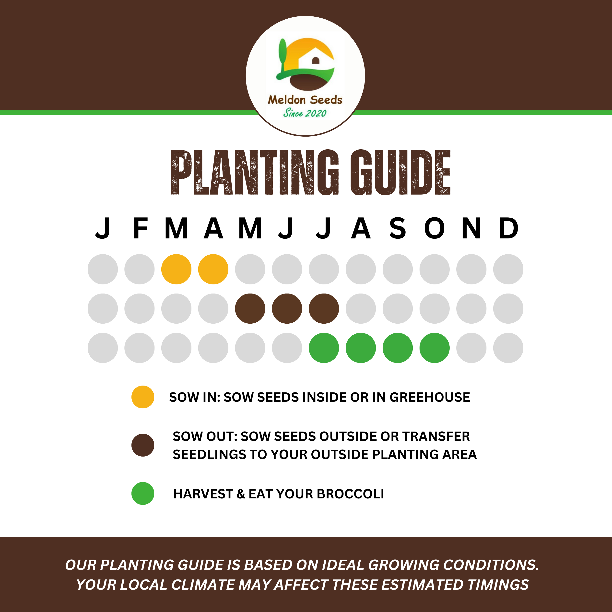 Broccoli Green Sprouting 200 Seeds