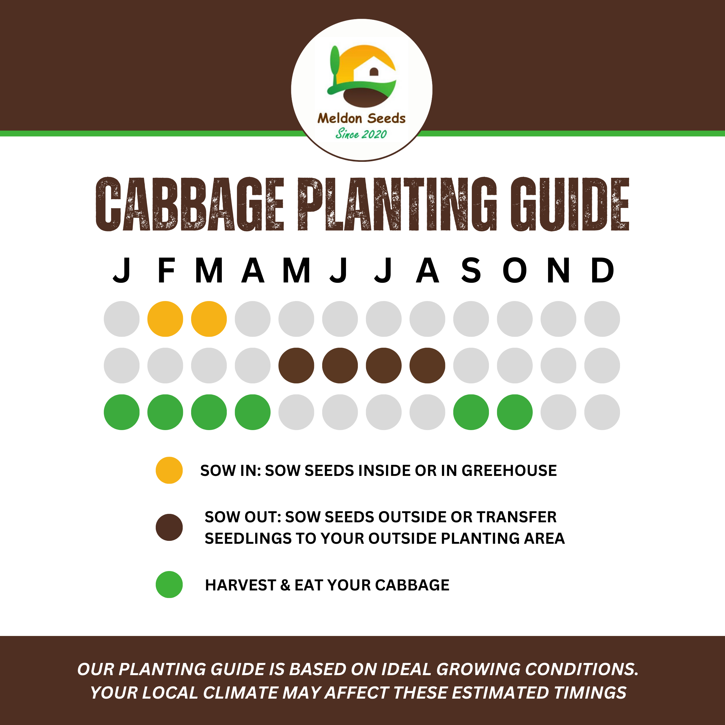 Cabbage Wheelers Imperial 500 Seeds