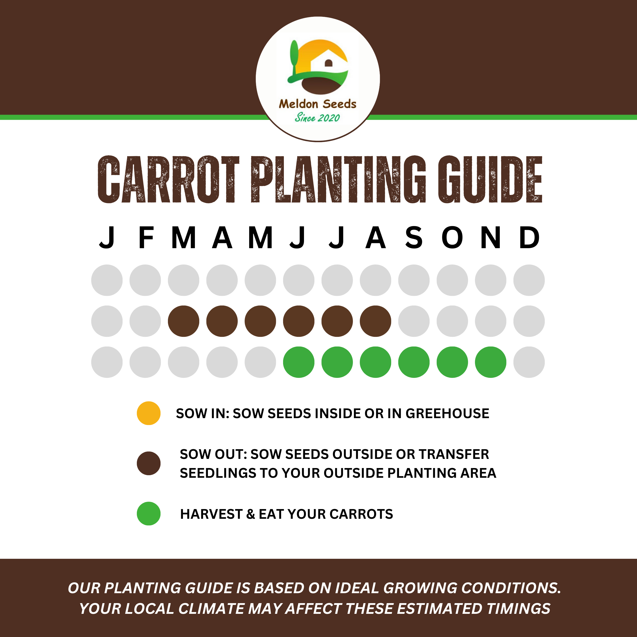 Mixed Carrot 250 Seeds - Rainbow, Red Samurai, Purple Haze