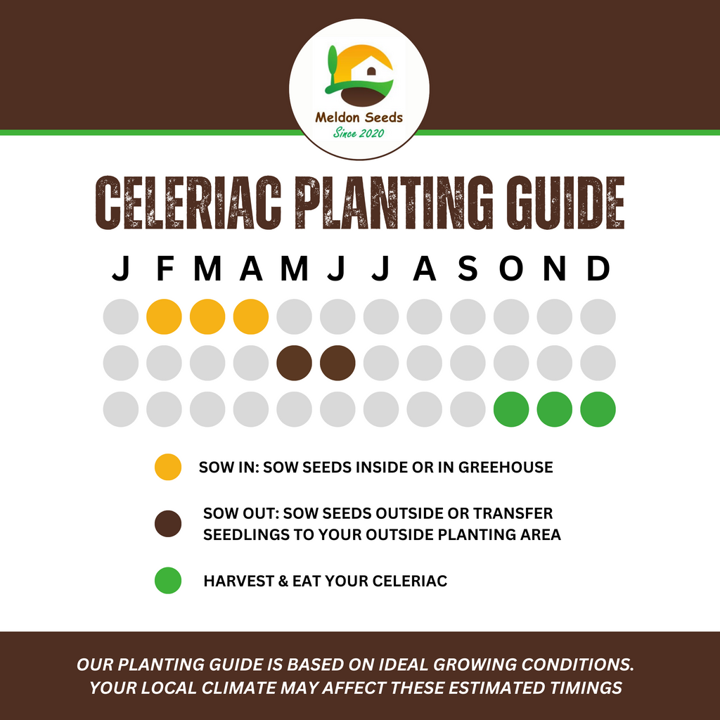 Celeriac Giant Prague 500 Seeds