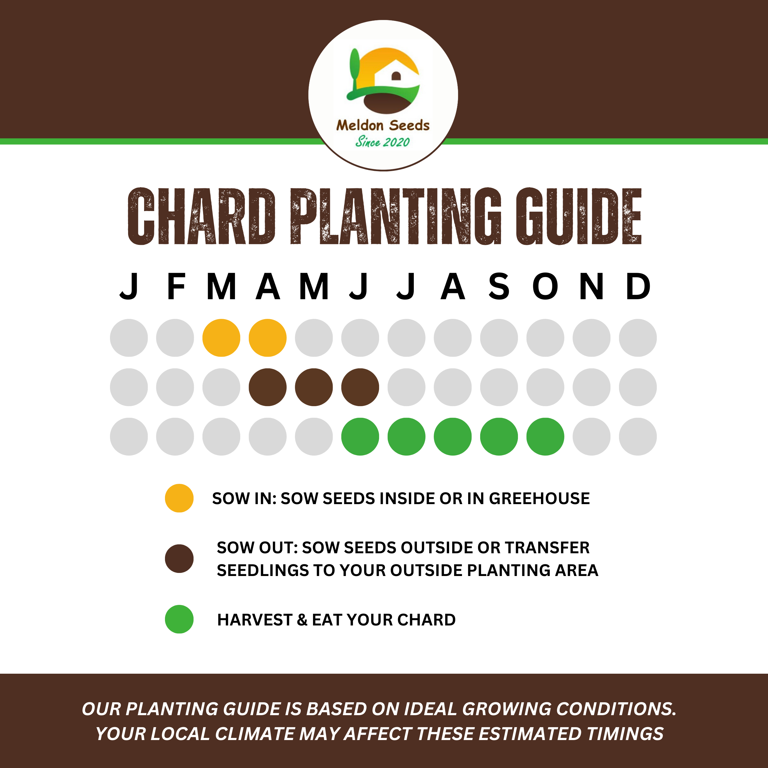 Beet Leaf Rainbow Chard Beet Leaf 140 Seeds