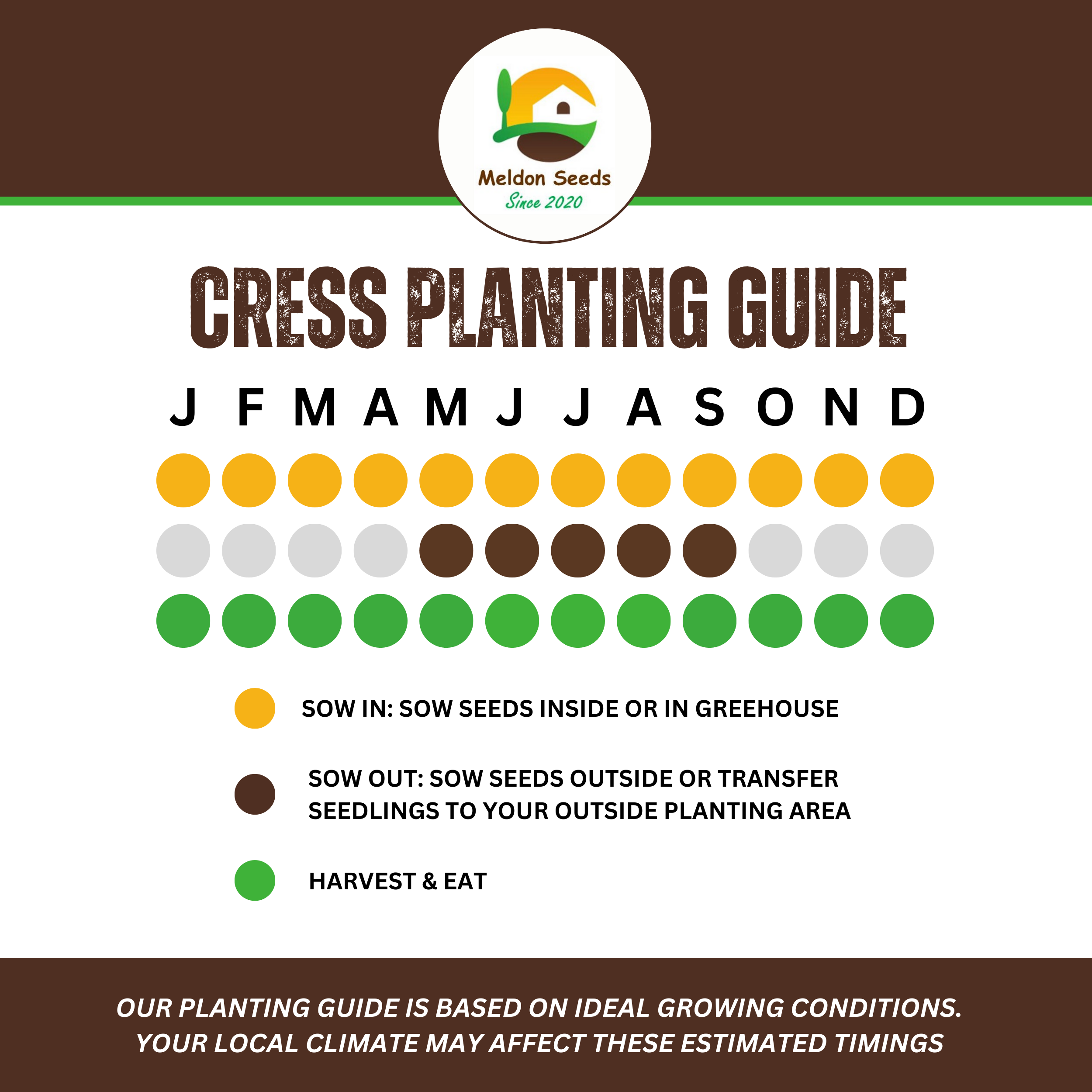 Cress Plain 2000 Seeds