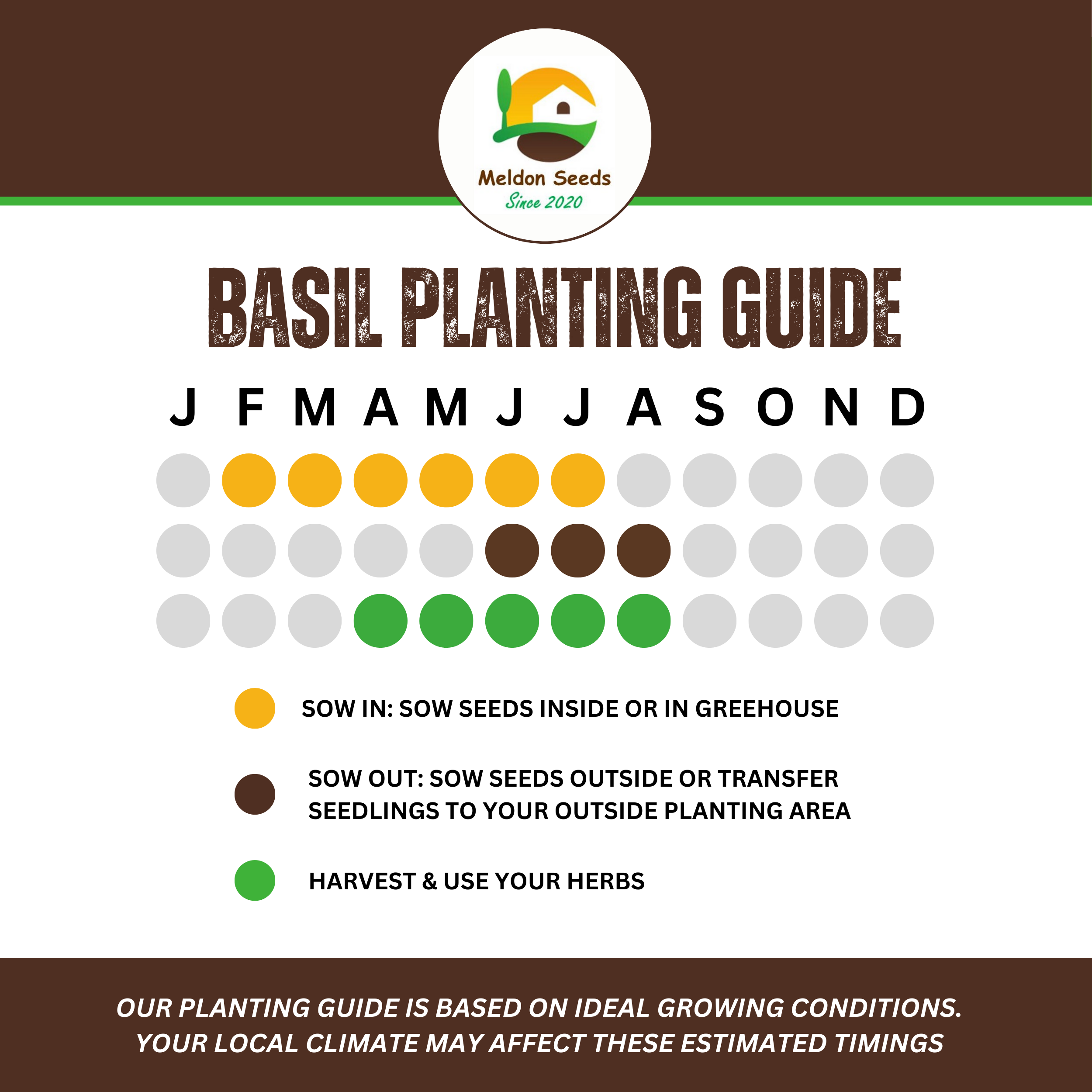 Basil British 100 Seeds