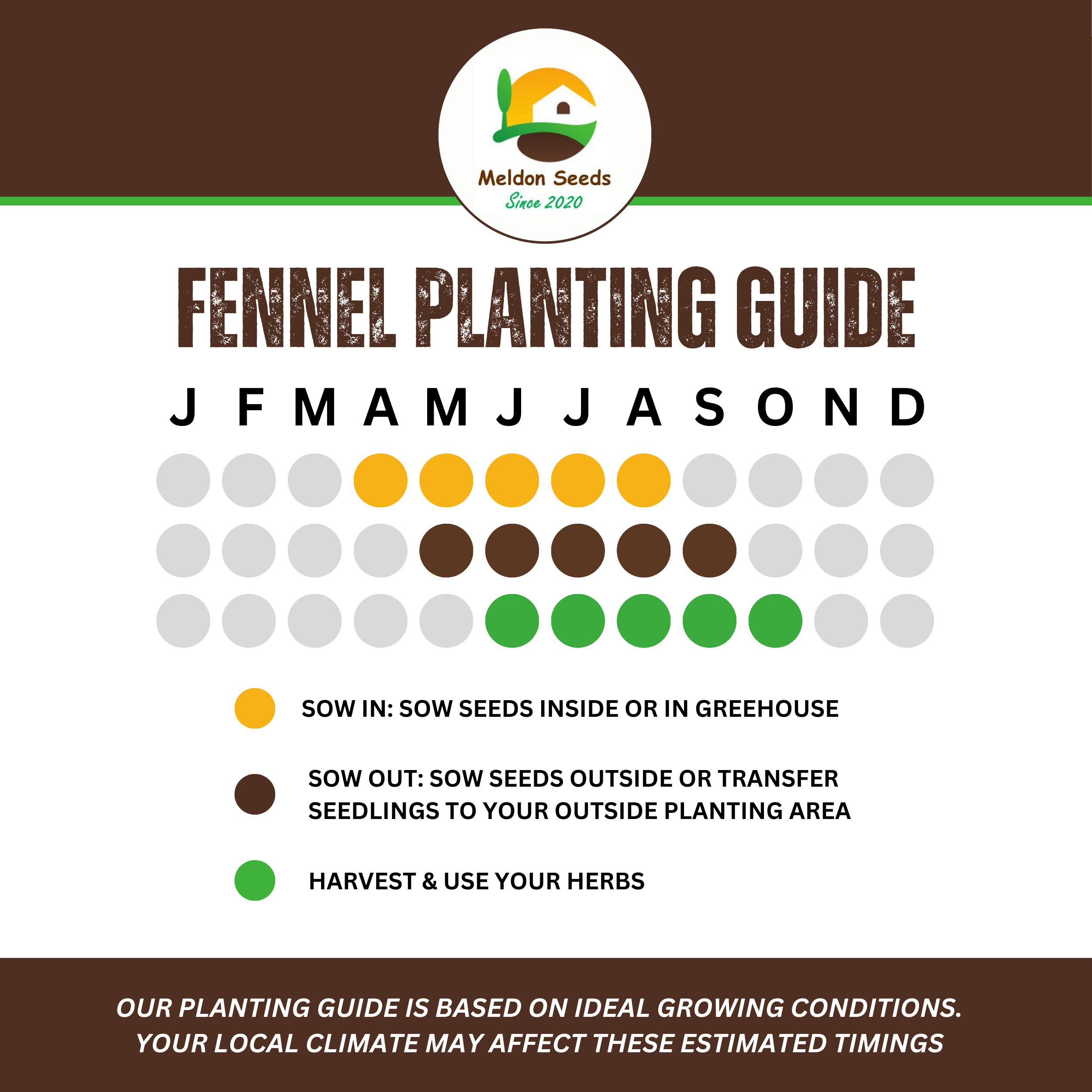 Fennel Bronze 200 Seeds