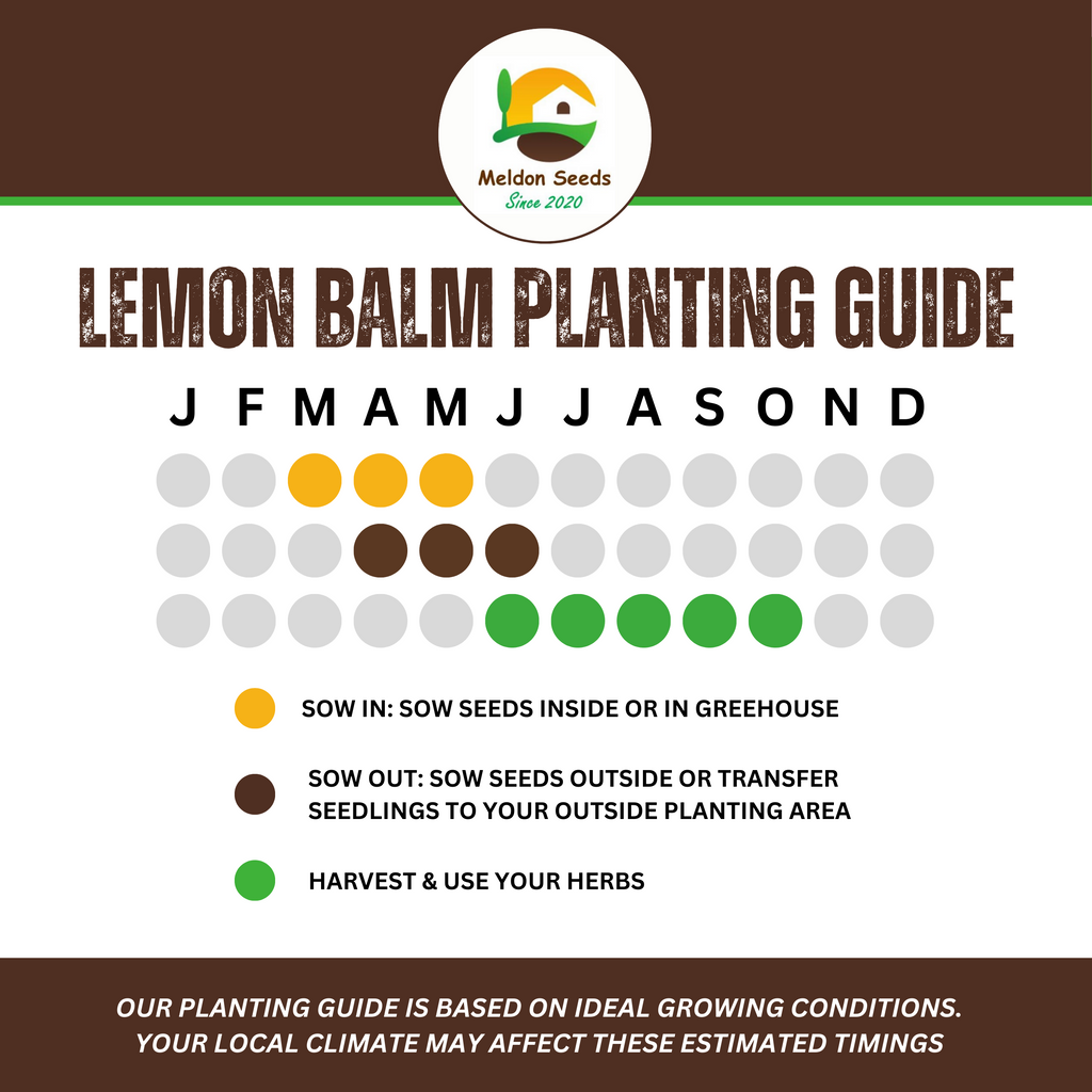 Lemon Balm 400 Seeds