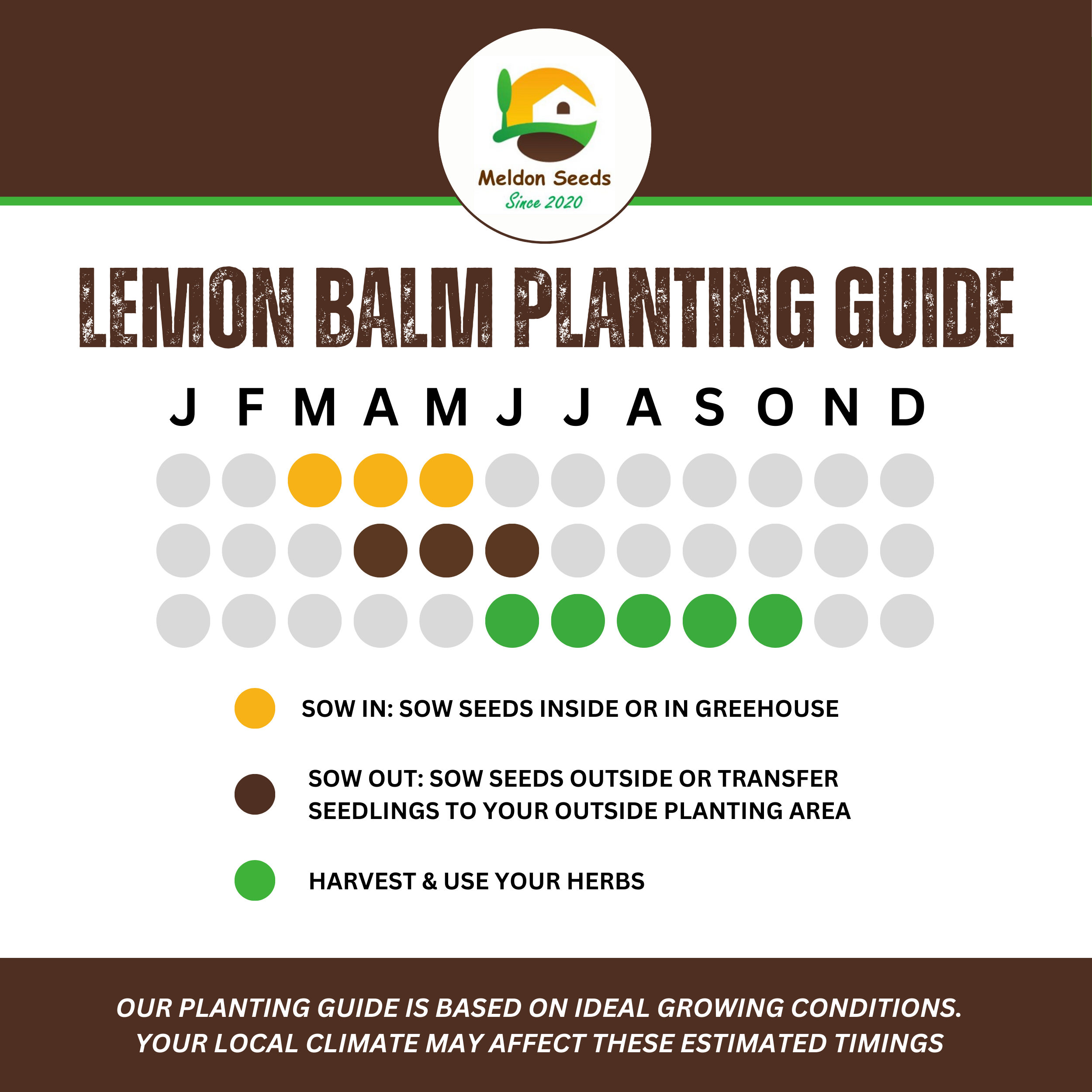 Lemon Balm 400 Seeds
