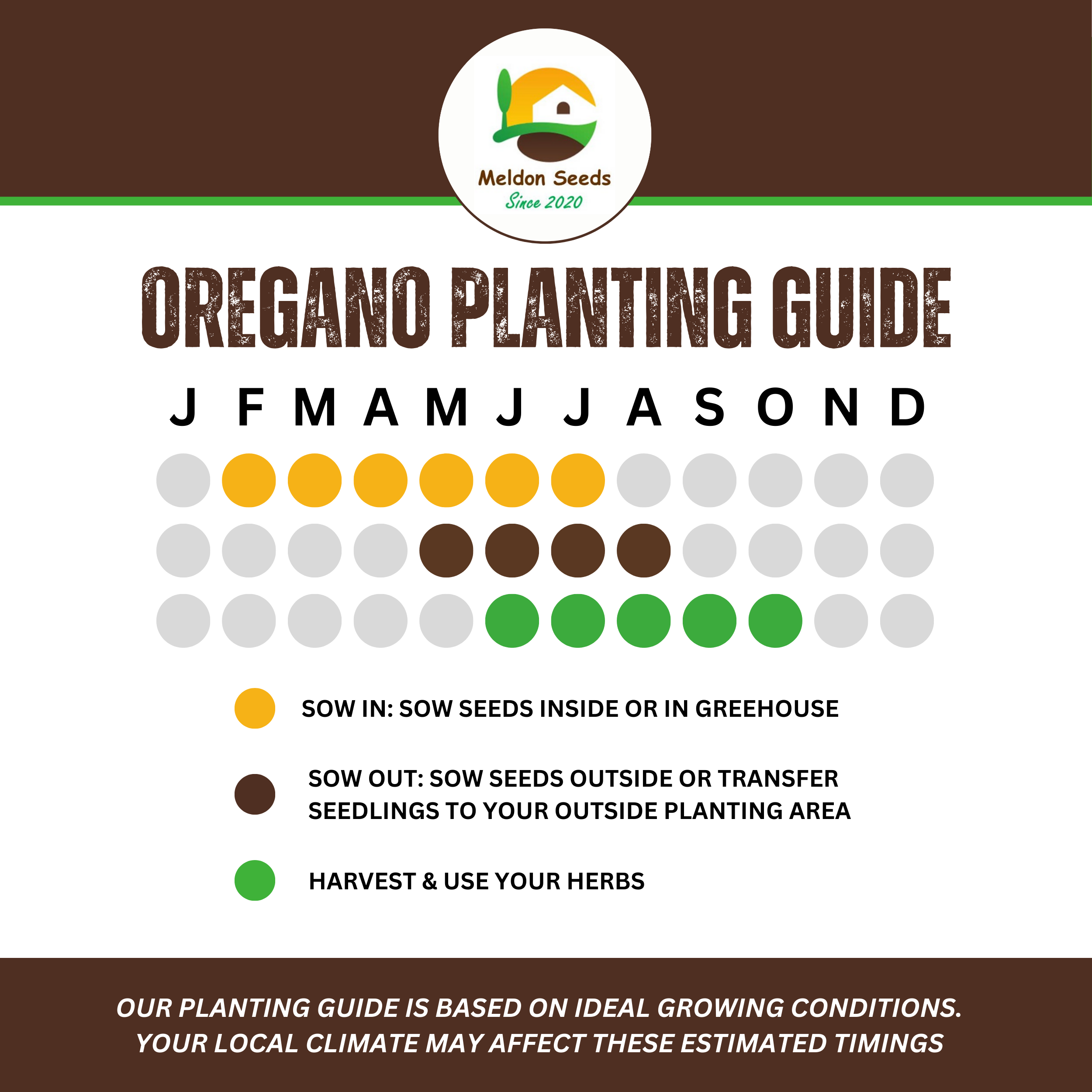 Oregano Greek 450 Seeds