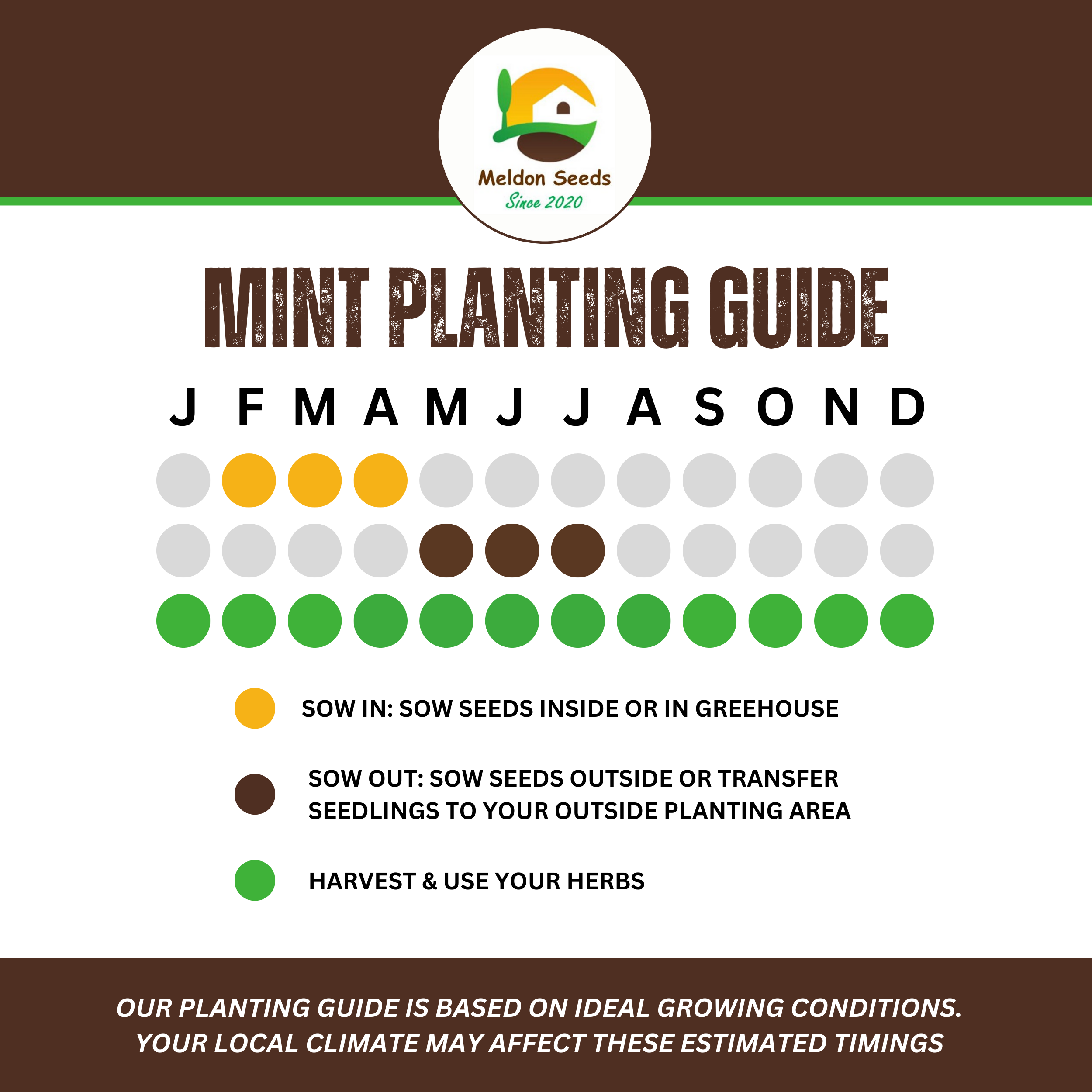 Mint Peppermint 200 Seeds