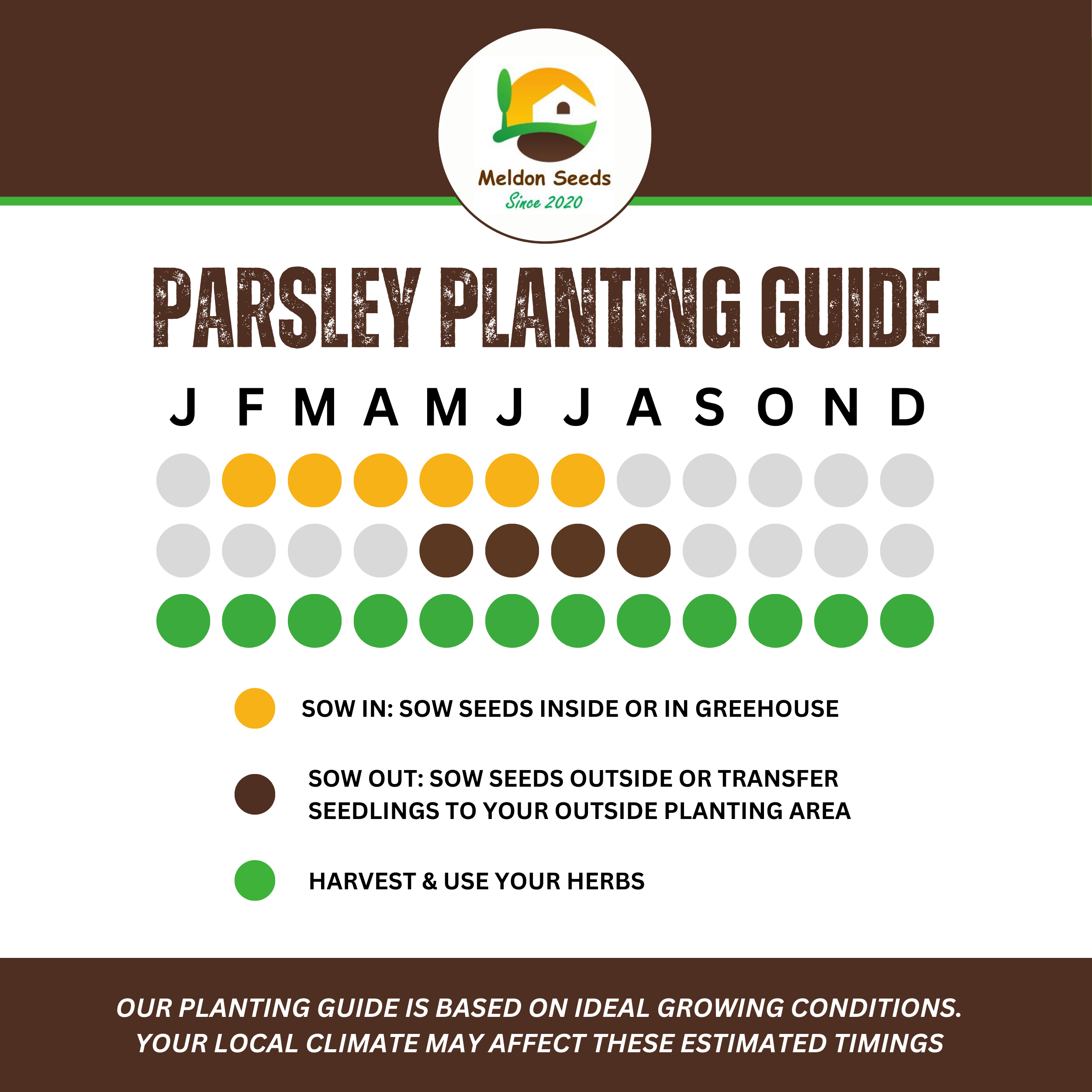 Parsley Plain/French 400 Seeds