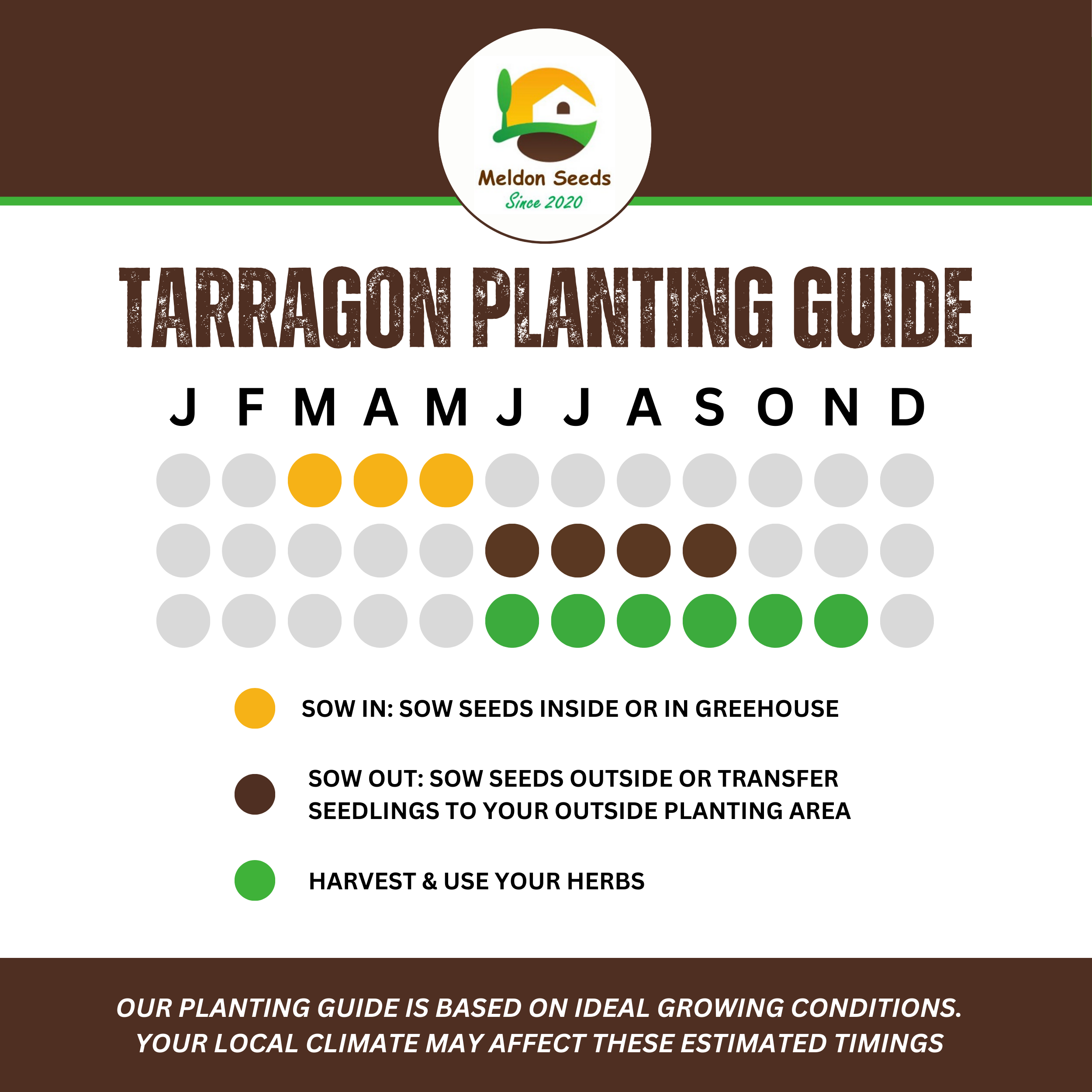 Tarragon Russian 300 Seeds