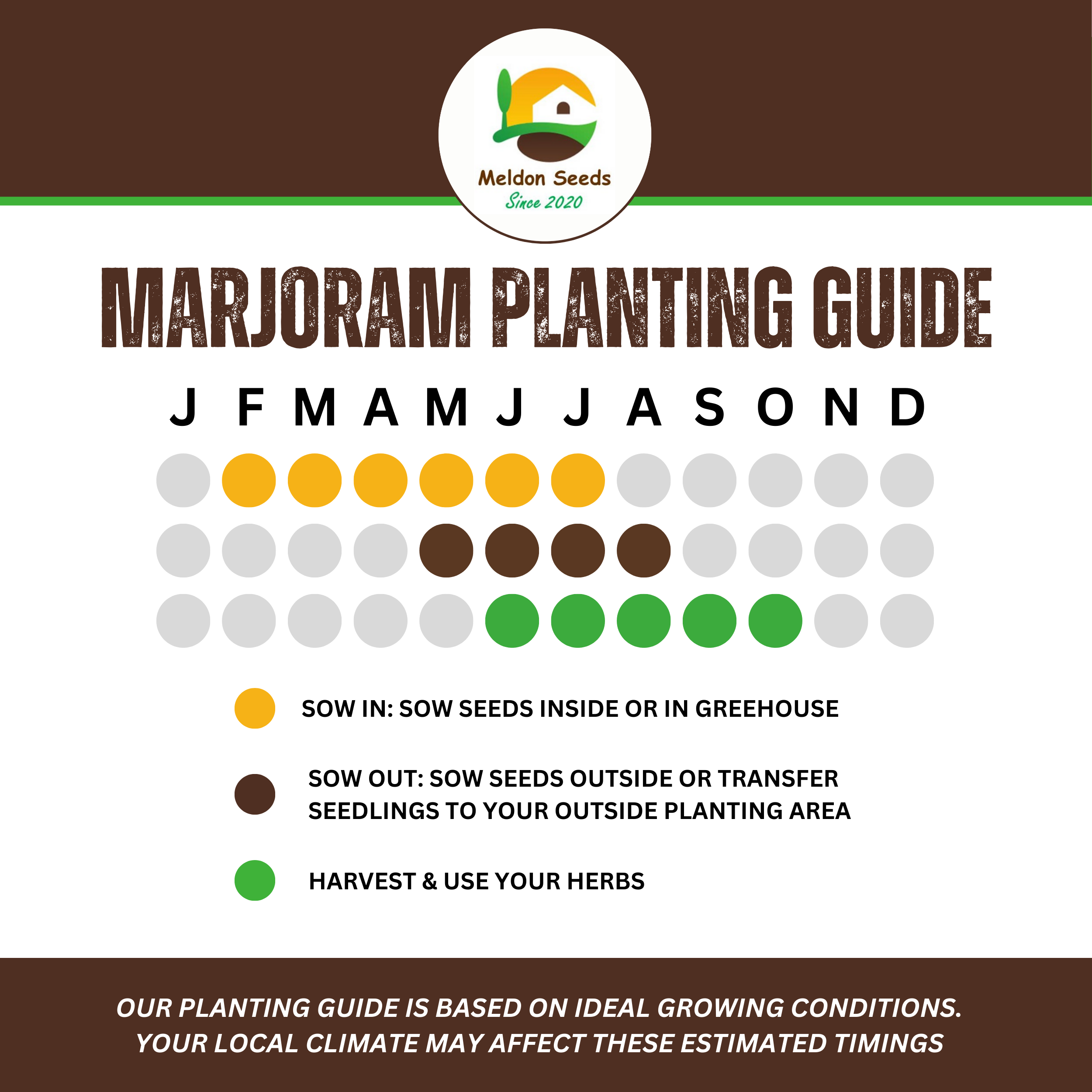 Marjoram Sweet 400 Seeds