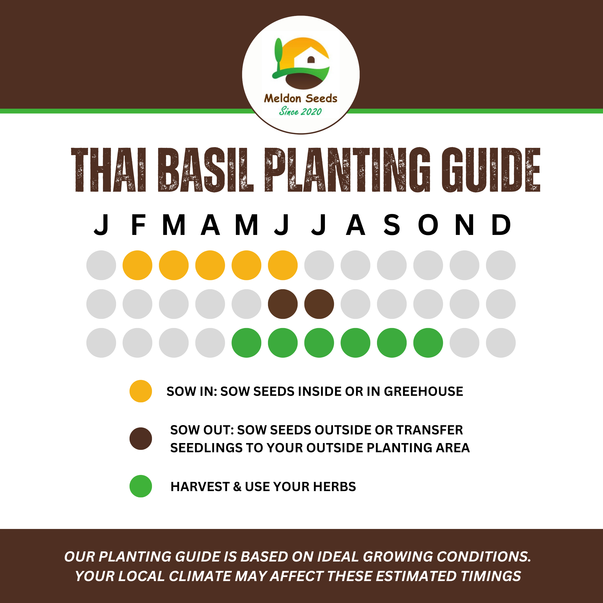 Thai Basil Seeds - 130 Fresh Siam Queen Basil Herb Seeds