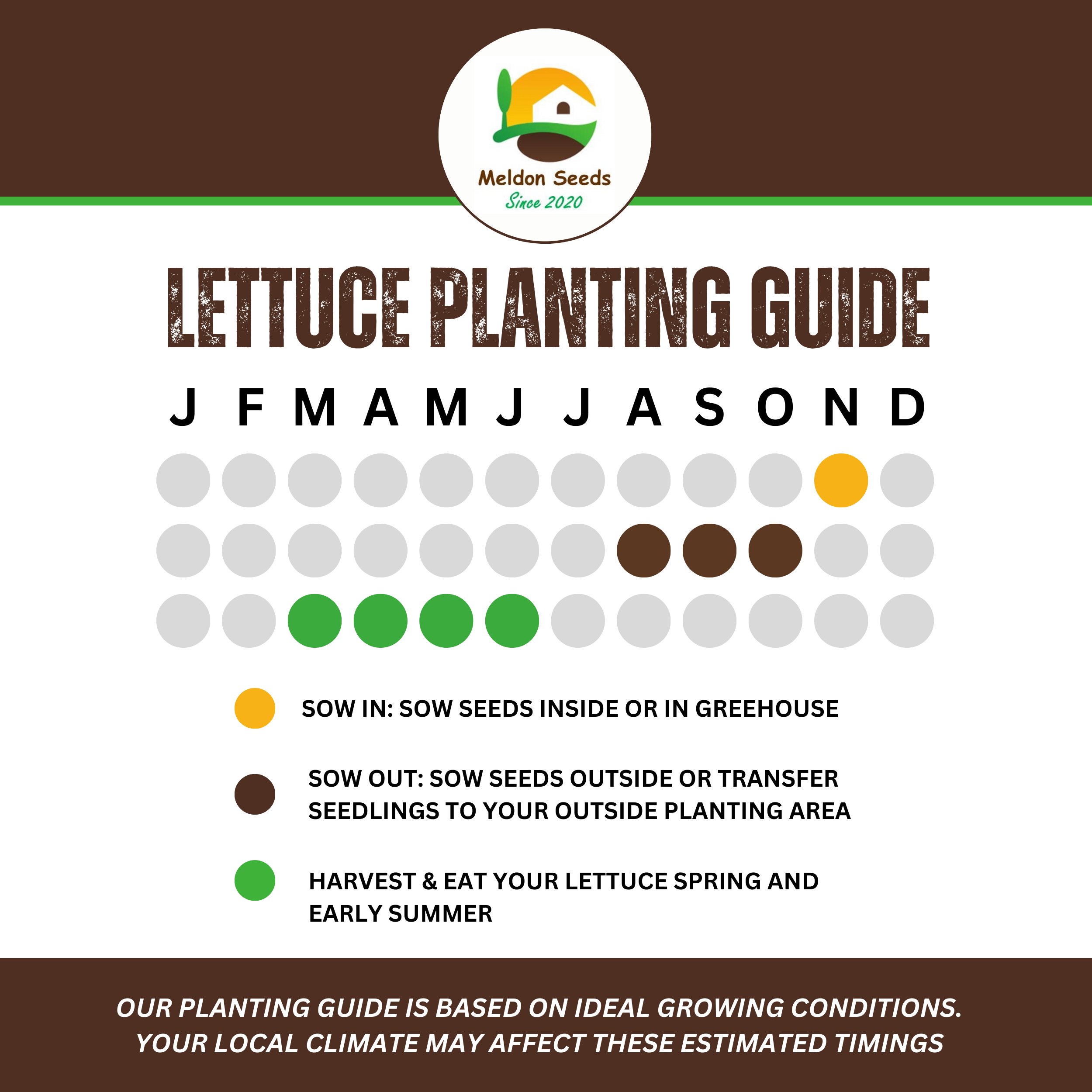 Lettuce Winter Density 400 Seeds