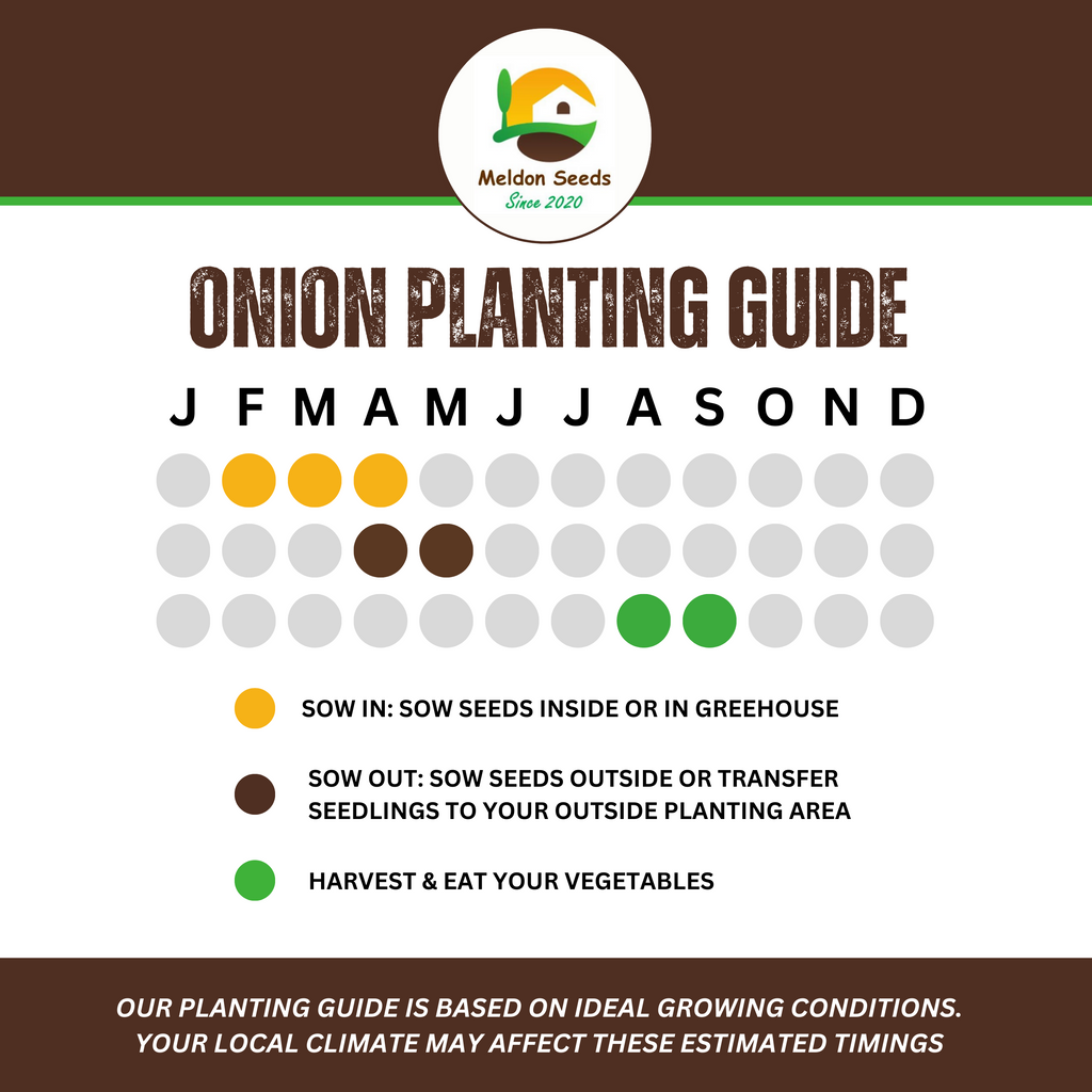 Onion Red Baron 115 Seeds