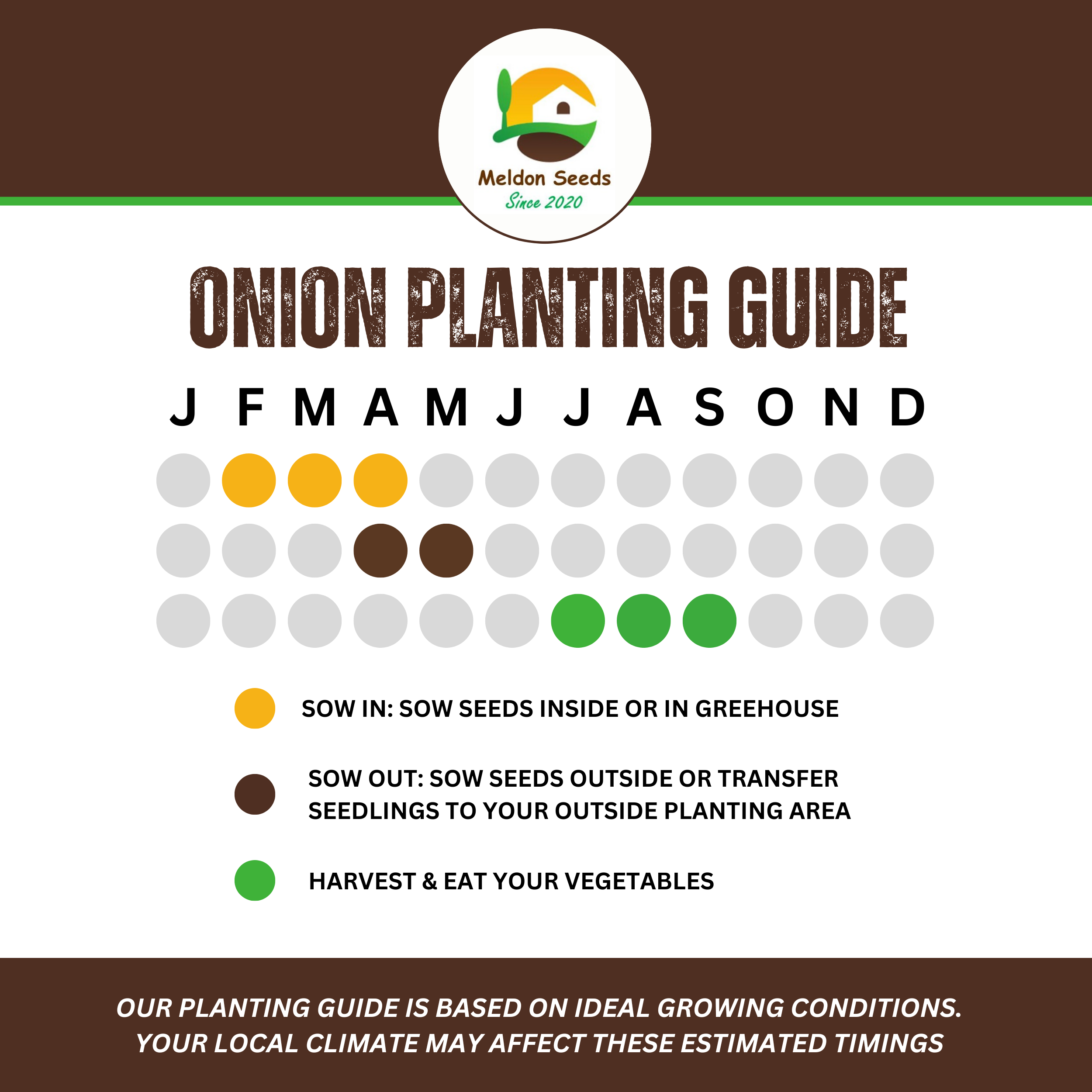 Onion Seeds Red Brunswick 200 Fresh Vegetable Seeds