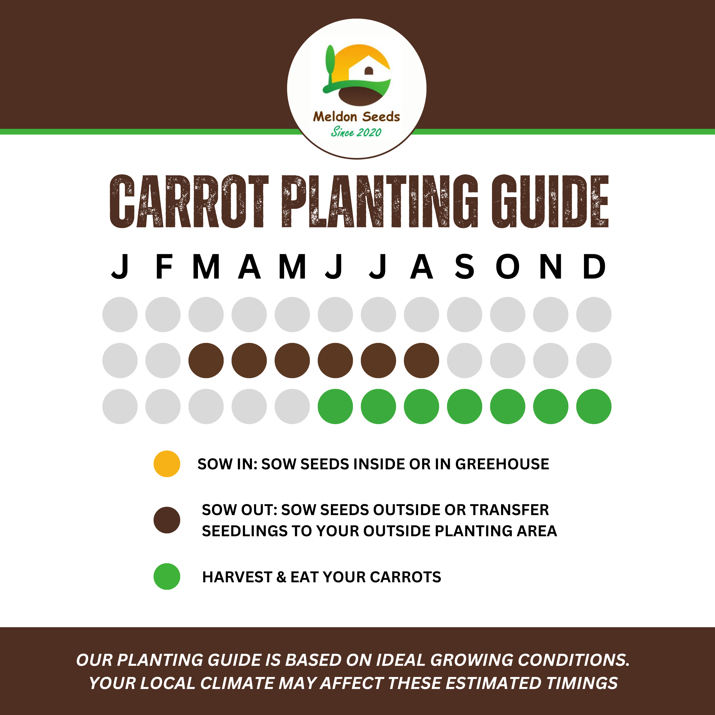 Organic Carrot Early Nantes 1000 Seeds