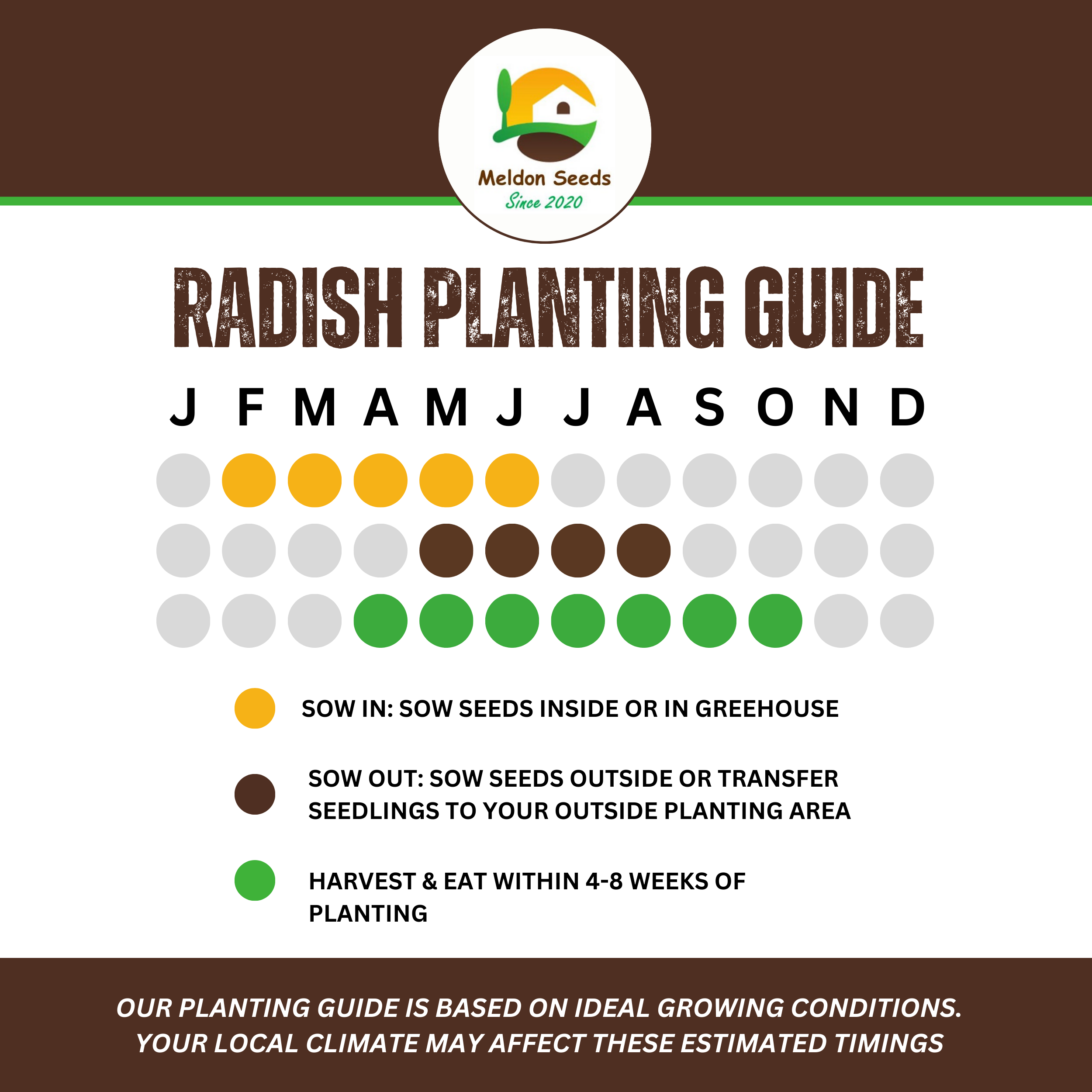 Radish Cherry Belle 500 Seeds