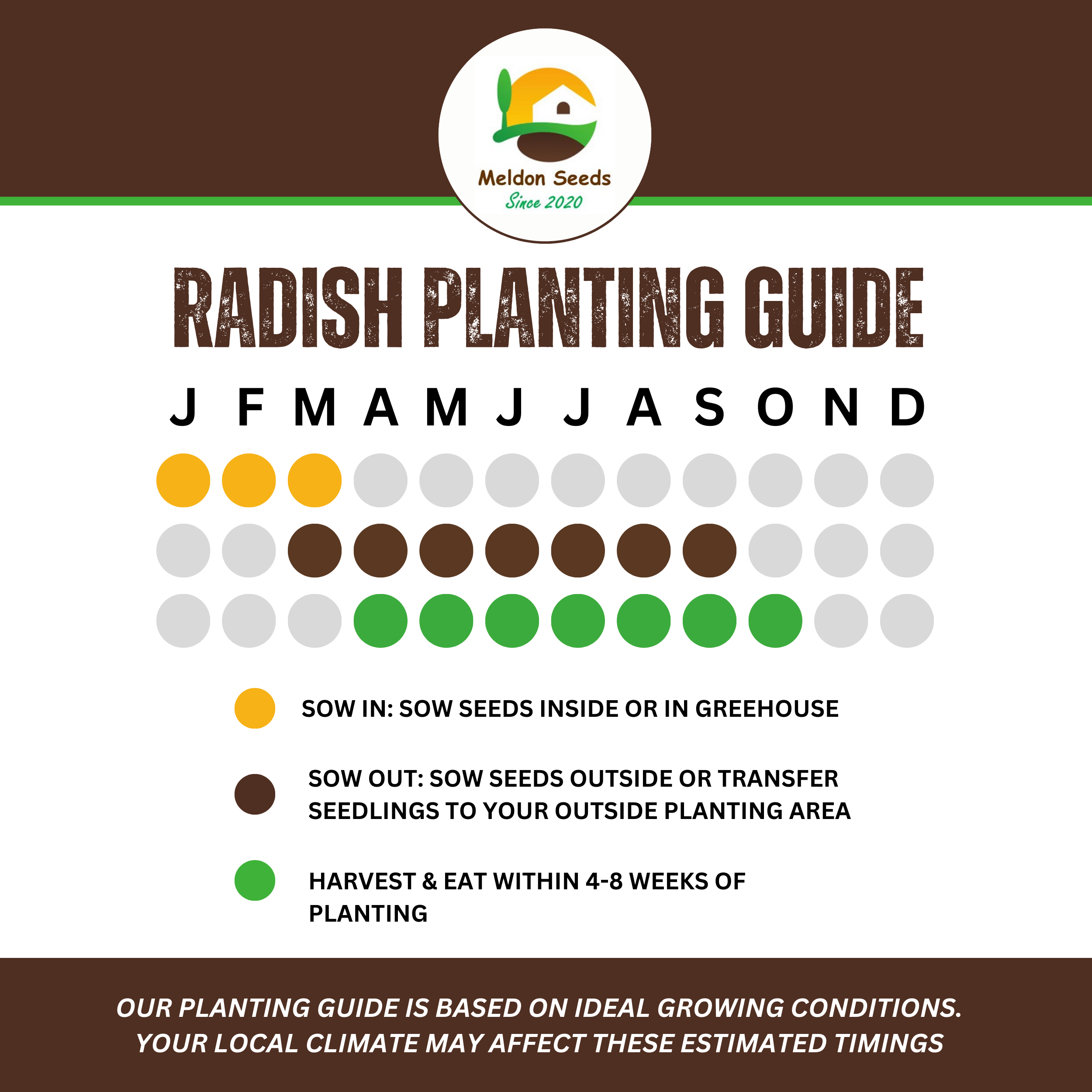 Radish Rainbow Mix 500 Seeds