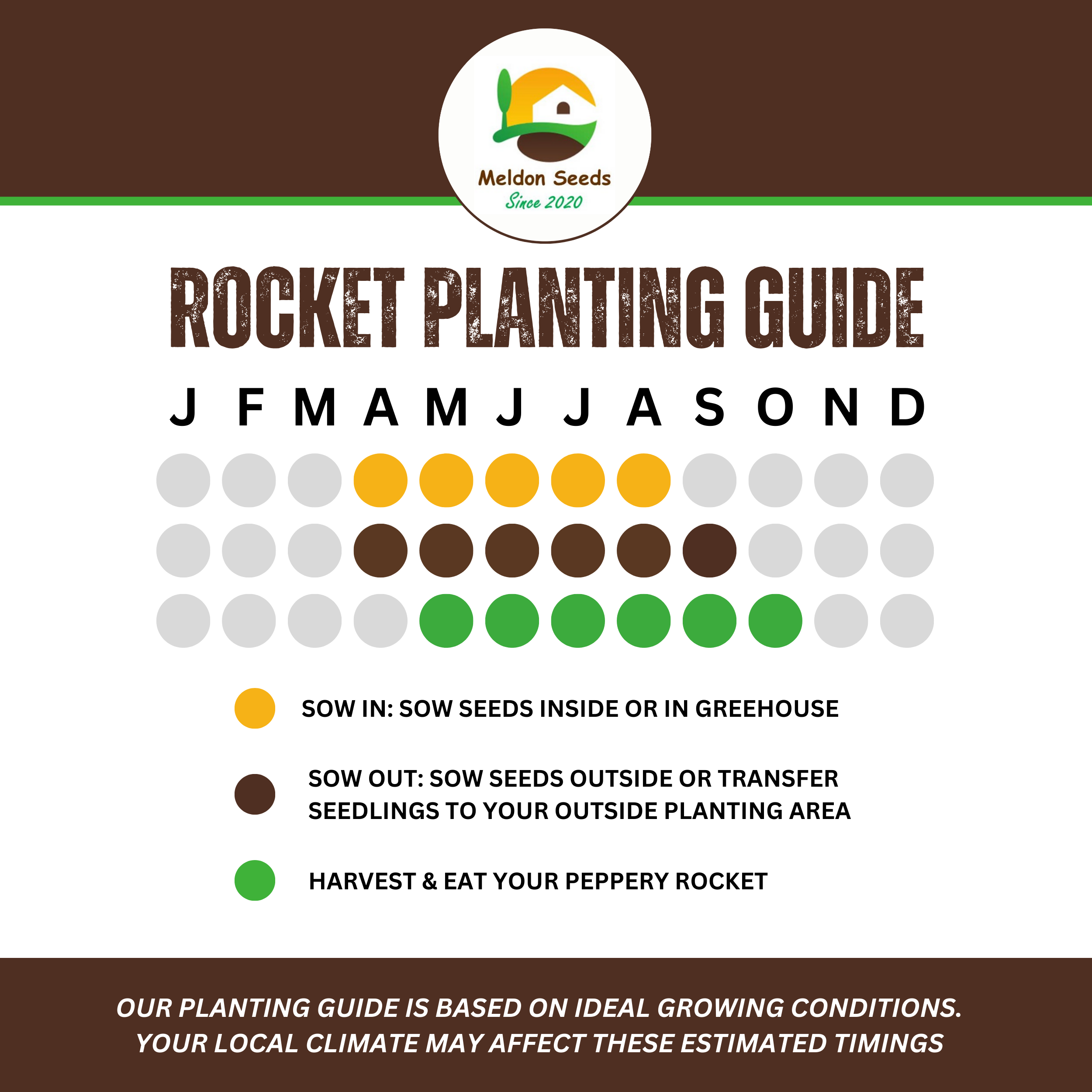 Rocket Salad 1000 Seeds