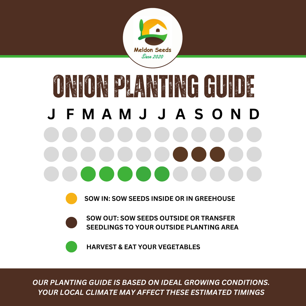 Spring Onion White Lisbon Winter Hardy 500 Seeds