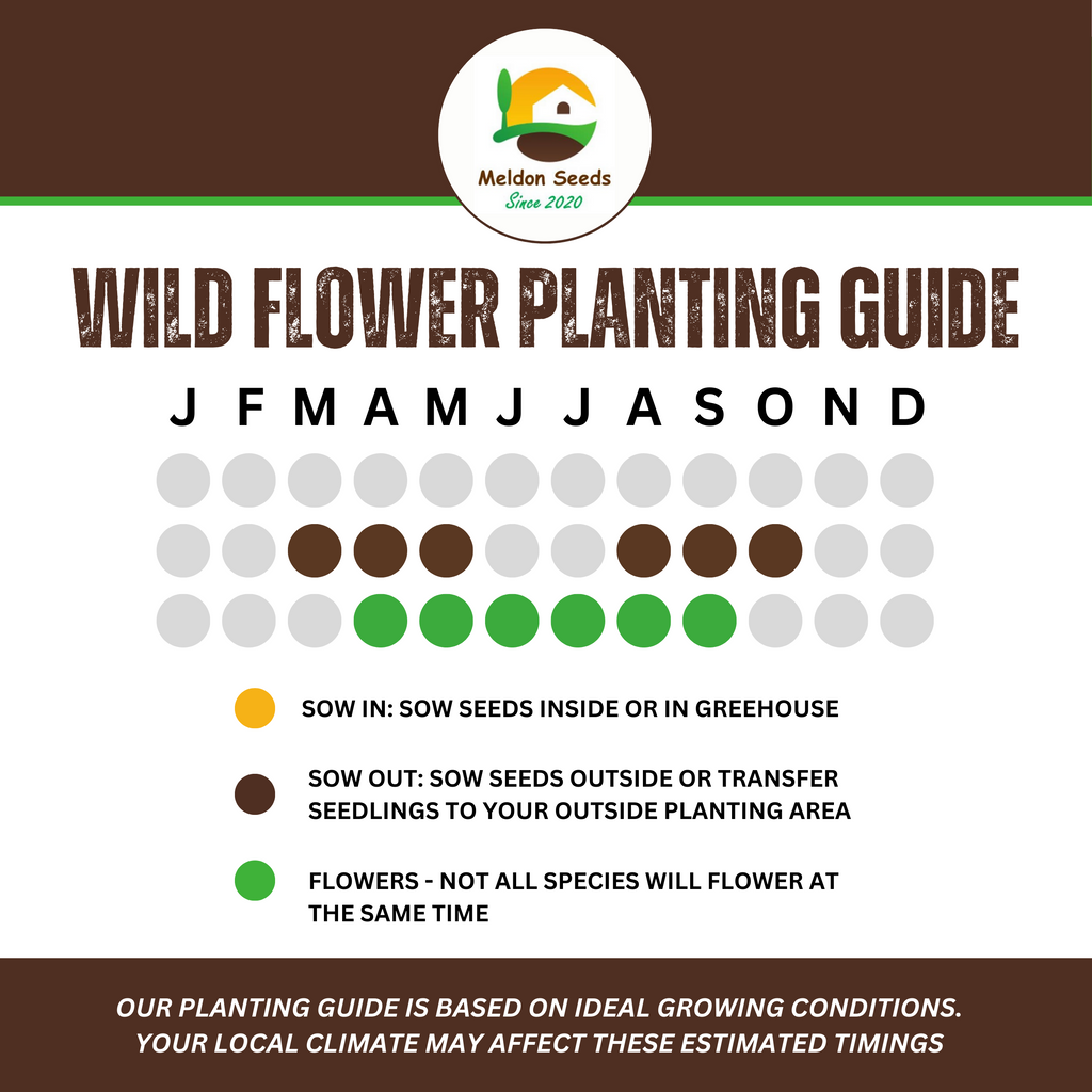 Wild Flowers Birds and Bees Mix 2.5g Seeds