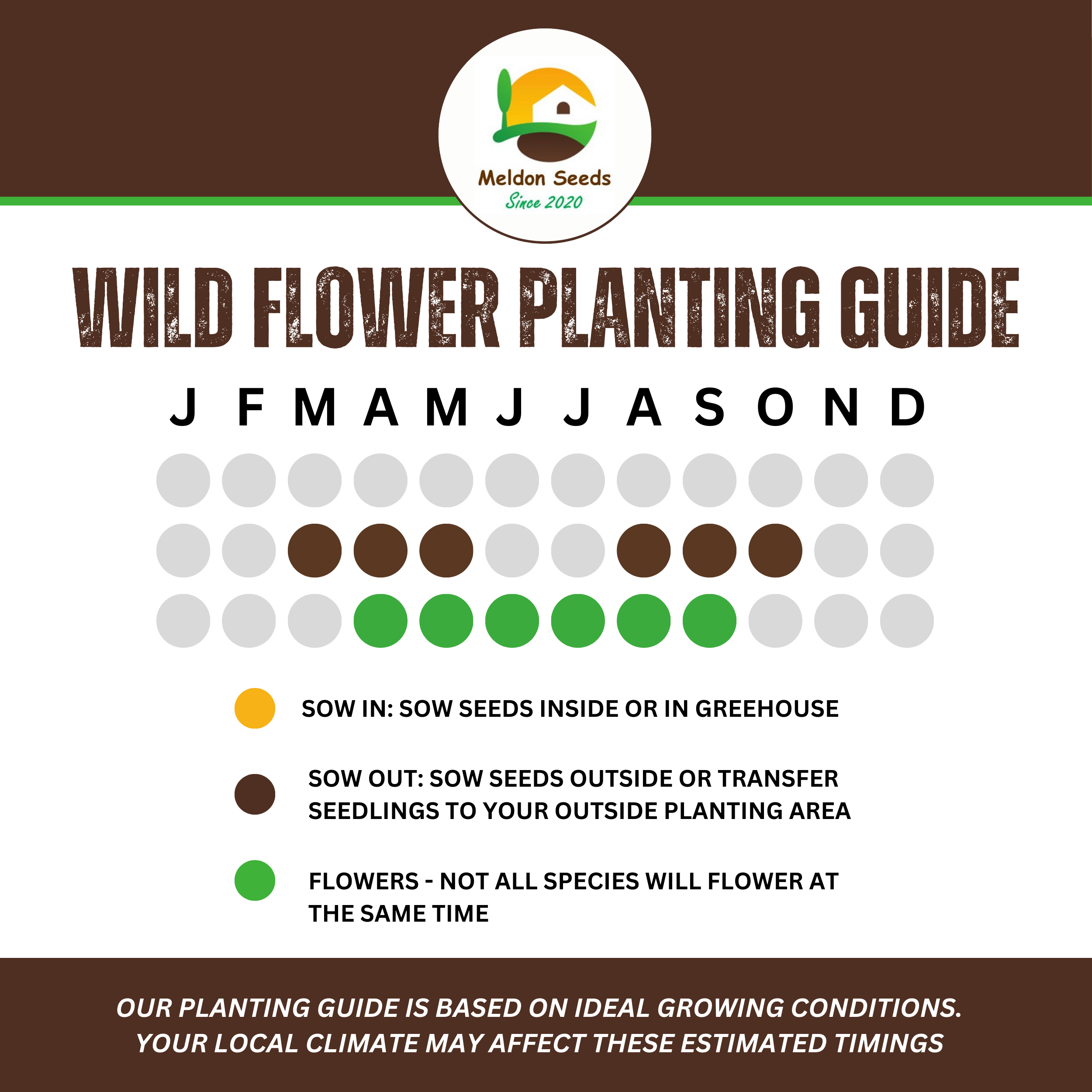 Wild Flowers Birds and Bees Mix 2.5g Seeds